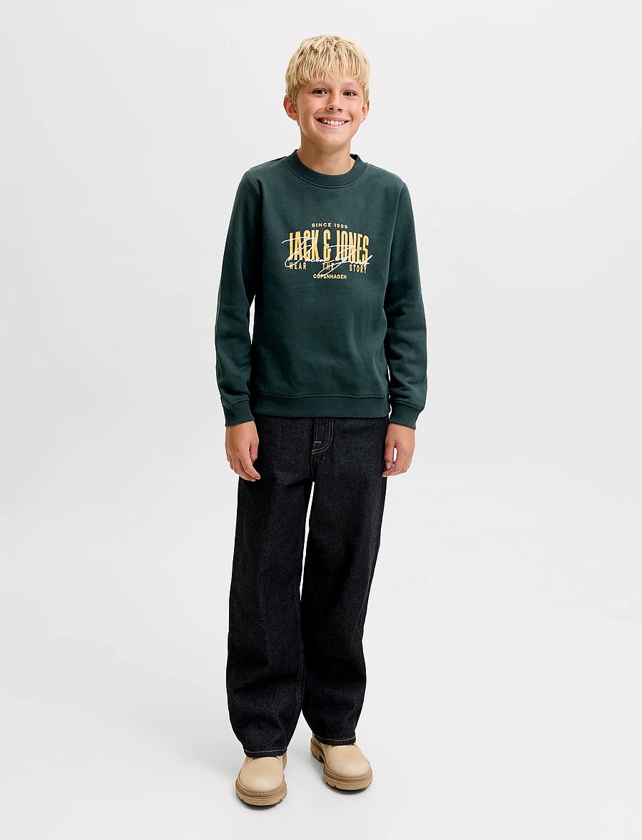 Jack & Jones - JJAERO SWEAT CREW NECK JNR - scarab - 4