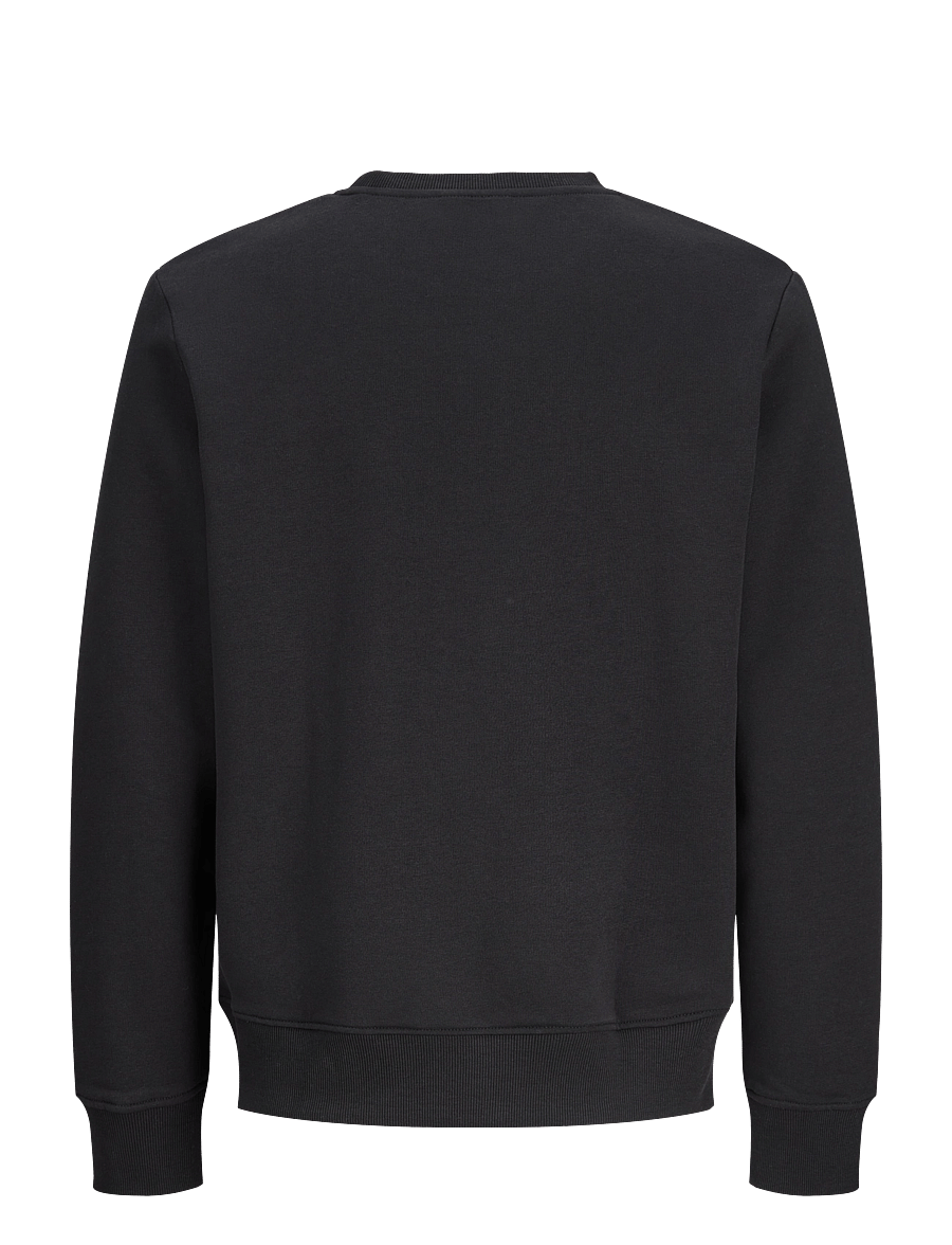 Jack & Jones - JJBUSTER SWEAT CREW NECK BTS JNR - sweatshirts - black - 1