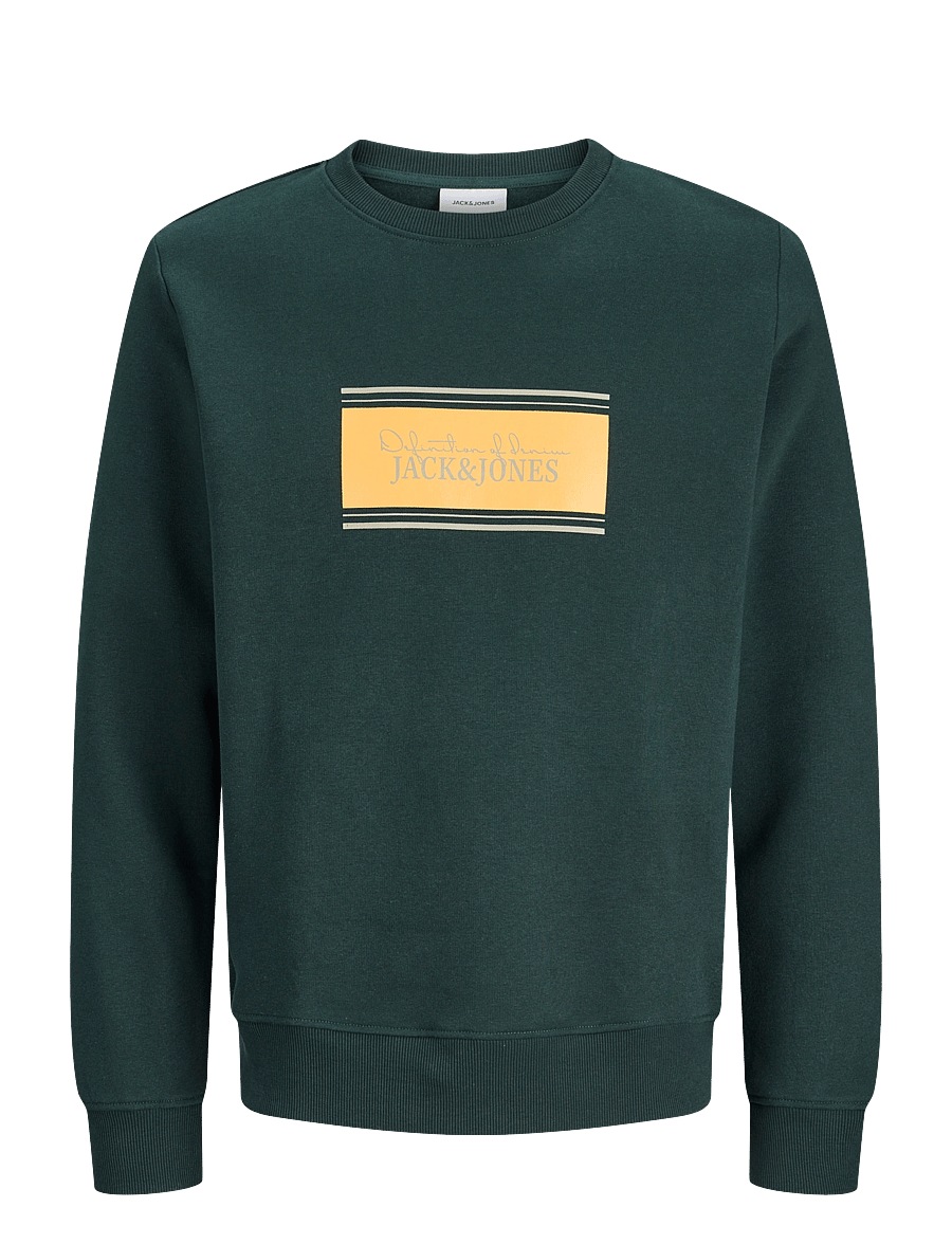 Jack & Jones - JJBUSTER SWEAT CREW NECK BTS JNR - dressipluusid - scarab - 0