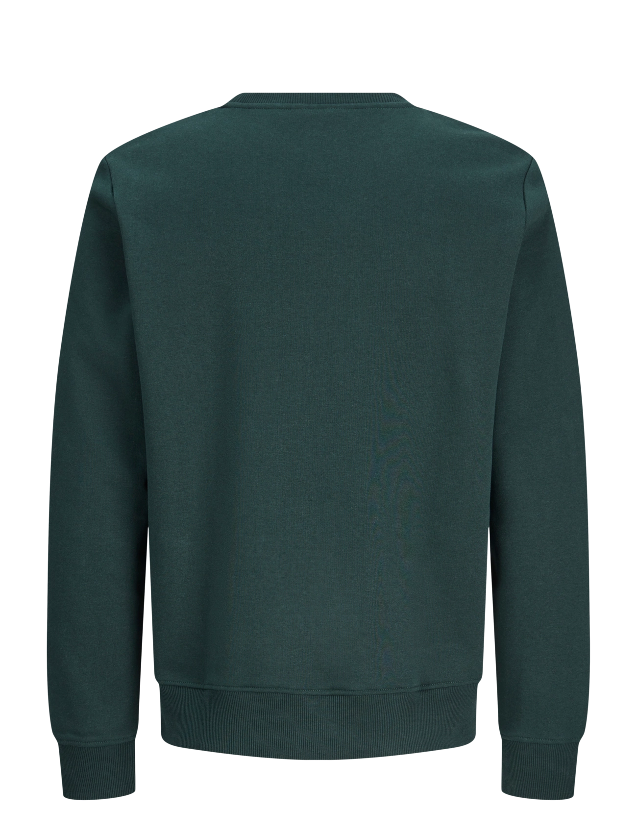 Jack & Jones - JJBUSTER SWEAT CREW NECK BTS JNR - dressipluusid - scarab - 1