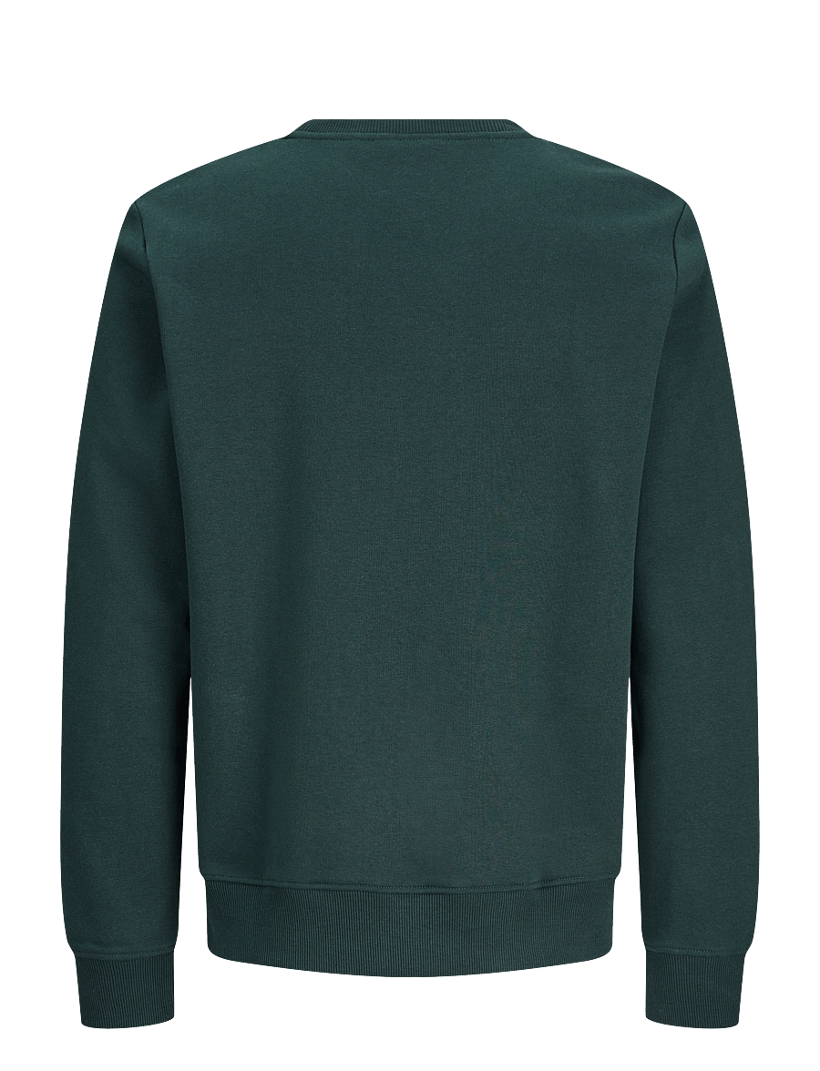 Jack & Jones - JJBUSTER SWEAT CREW NECK BTS JNR - dressipluusid - scarab - 1