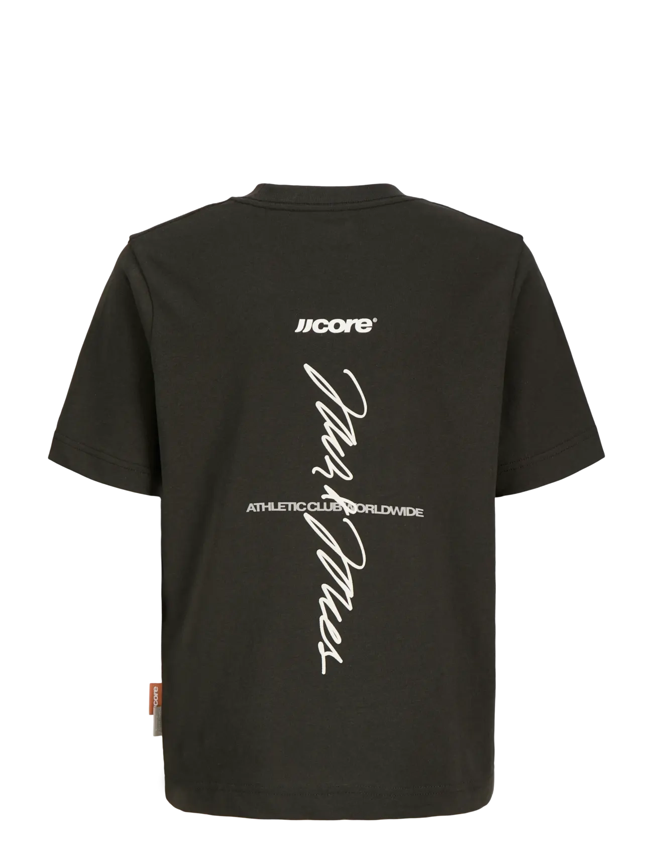 Jack & Jones - JCOCLUB BACK SCRIPT TEE SS CN SN JNR - peat - 2