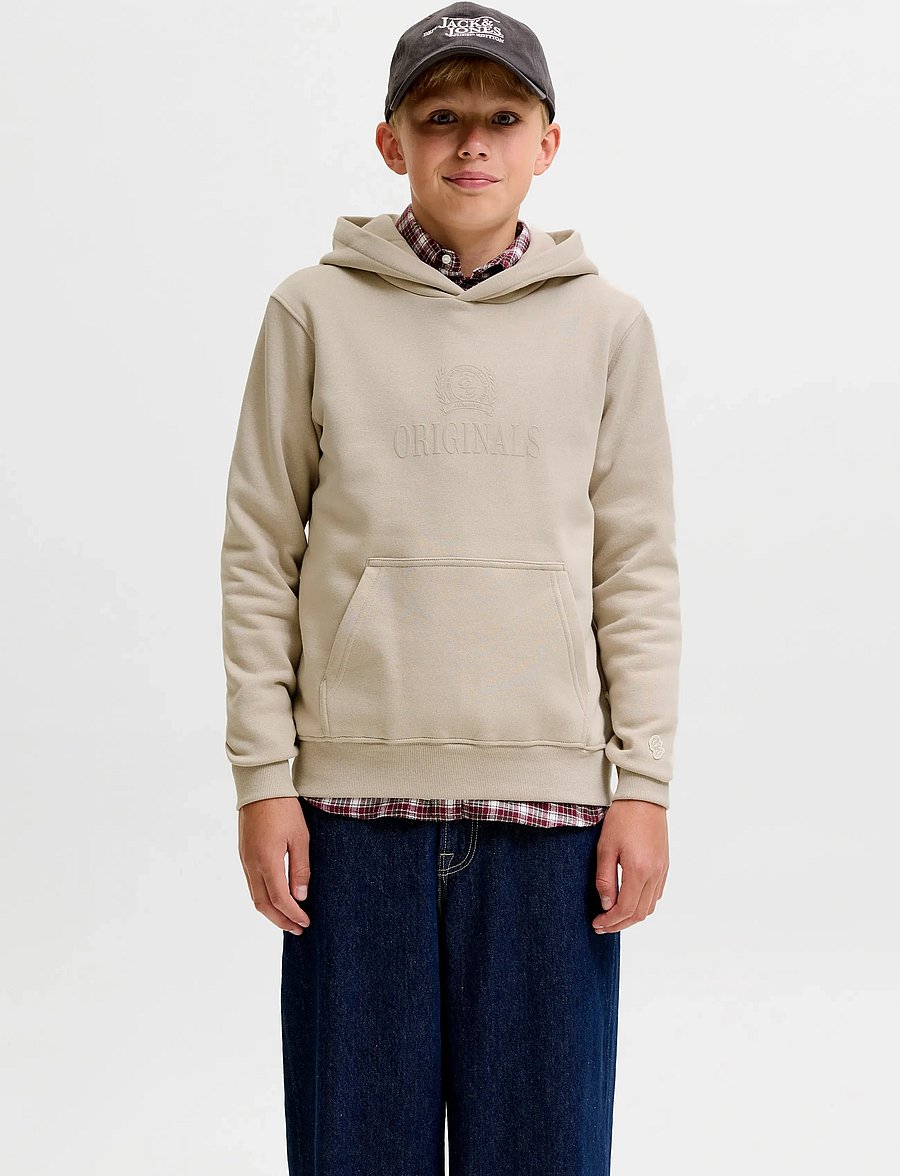 Jack & Jones - JORFREDERIKSBERG MONOGRAM SWEAT HOOD JN - feather gray - 0