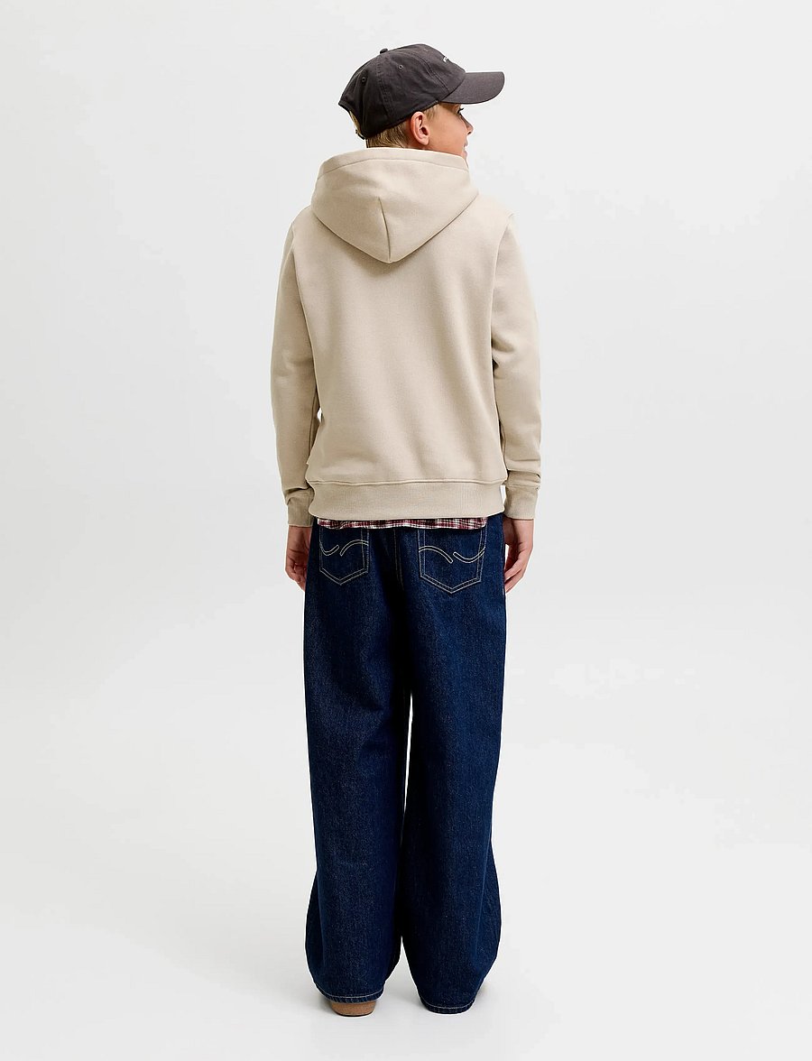 Jack & Jones - JORFREDERIKSBERG MONOGRAM SWEAT HOOD JN - feather gray - 3