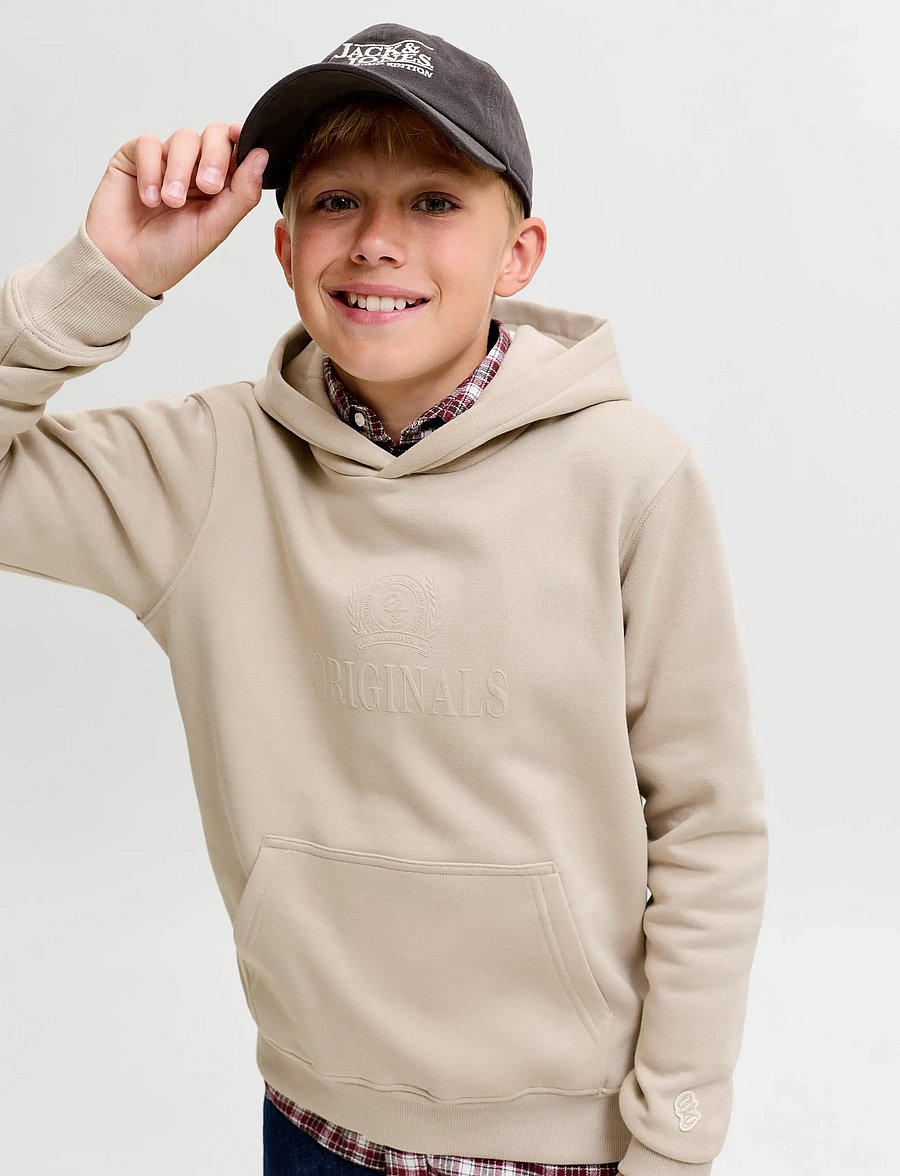 Jack & Jones - JORFREDERIKSBERG MONOGRAM SWEAT HOOD JN - feather gray - 5