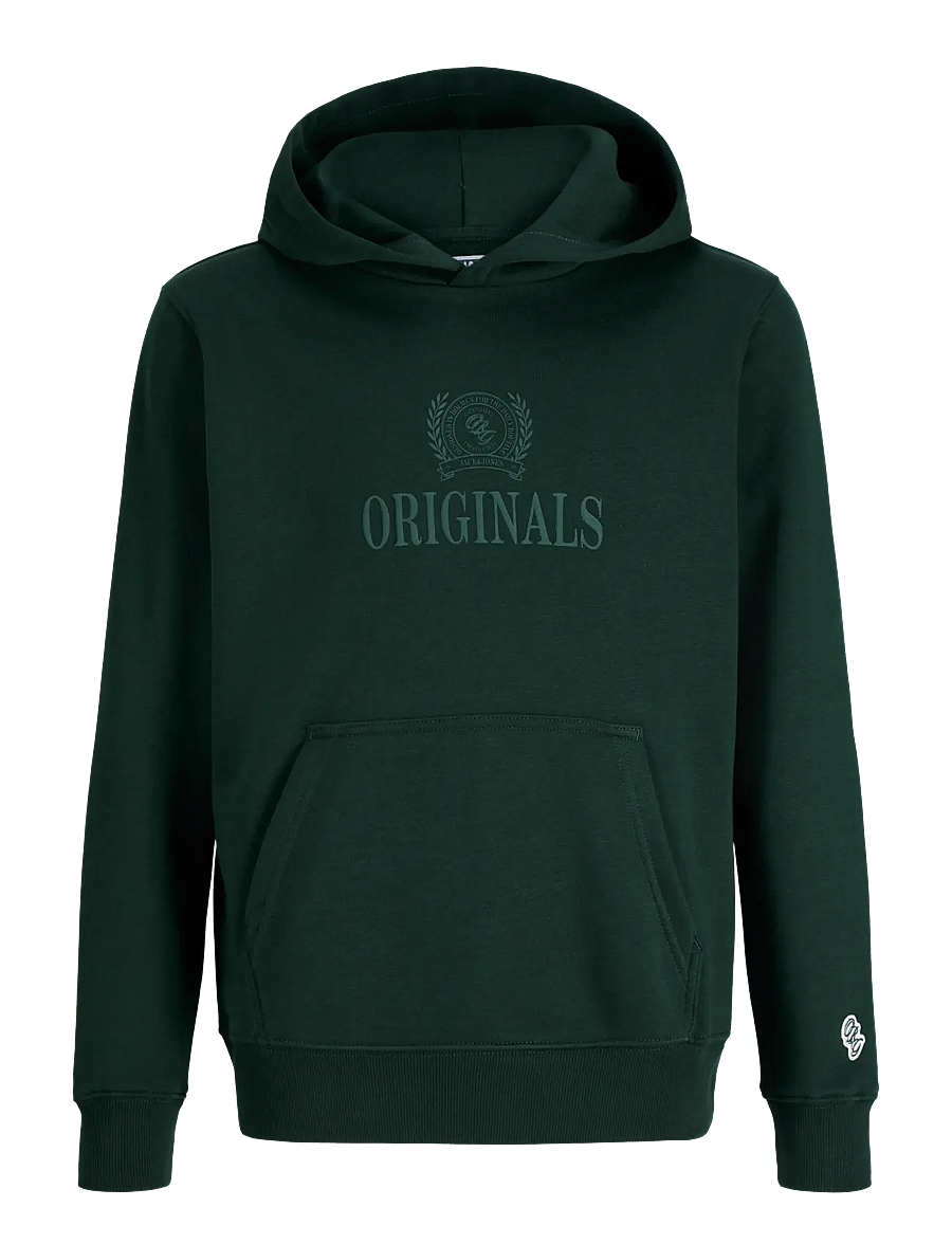 Jack & Jones - JORFREDERIKSBERG MONOGRAM SWEAT HOOD JN - kapuutsiga pusad - pine grove - 1