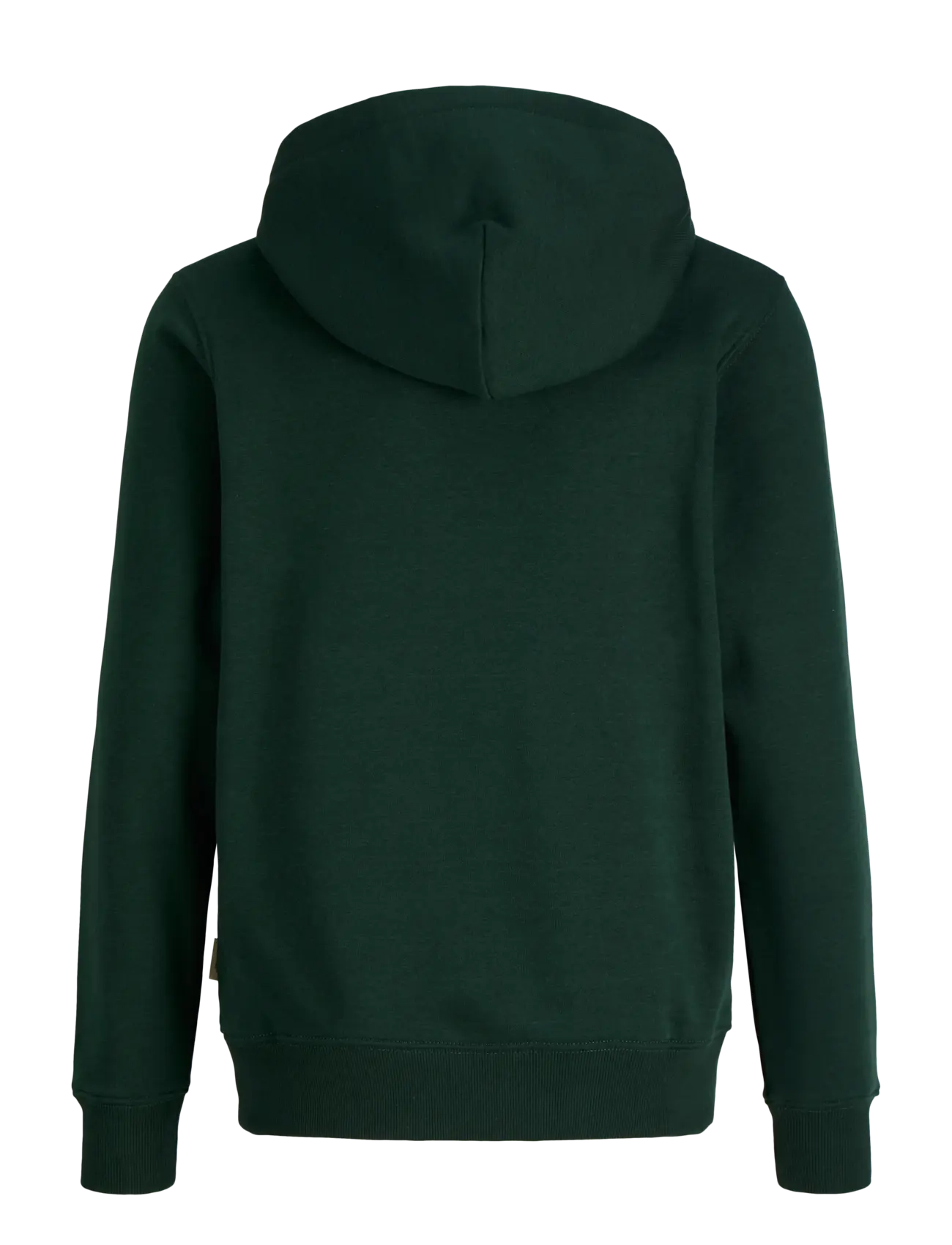 Jack & Jones - JORFREDERIKSBERG MONOGRAM SWEAT HOOD JN - kapuutsiga pusad - pine grove - 2