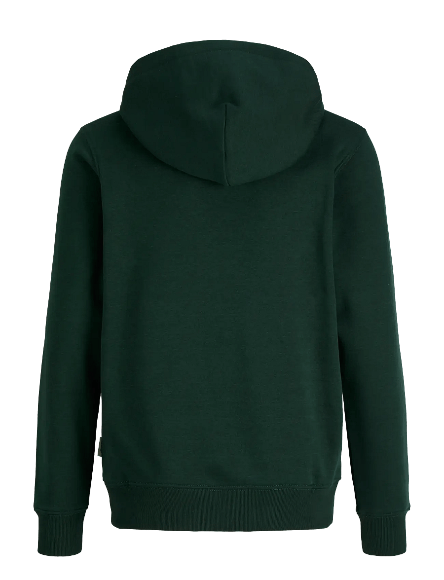 Jack & Jones - JORFREDERIKSBERG MONOGRAM SWEAT HOOD JN - kapuutsiga pusad - pine grove - 2