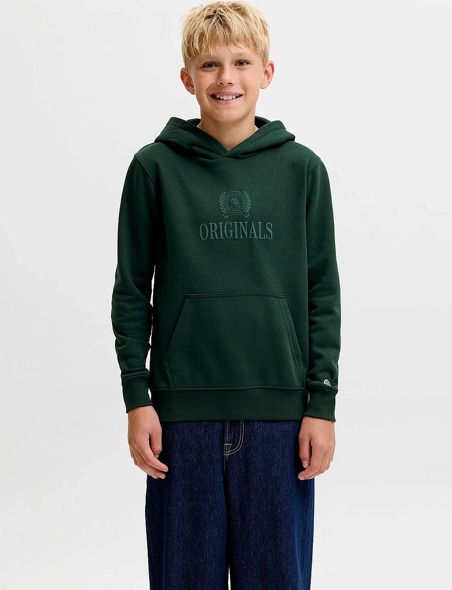 Jack & Jones - JORFREDERIKSBERG MONOGRAM SWEAT HOOD JN - kapuutsiga pusad - pine grove - 0
