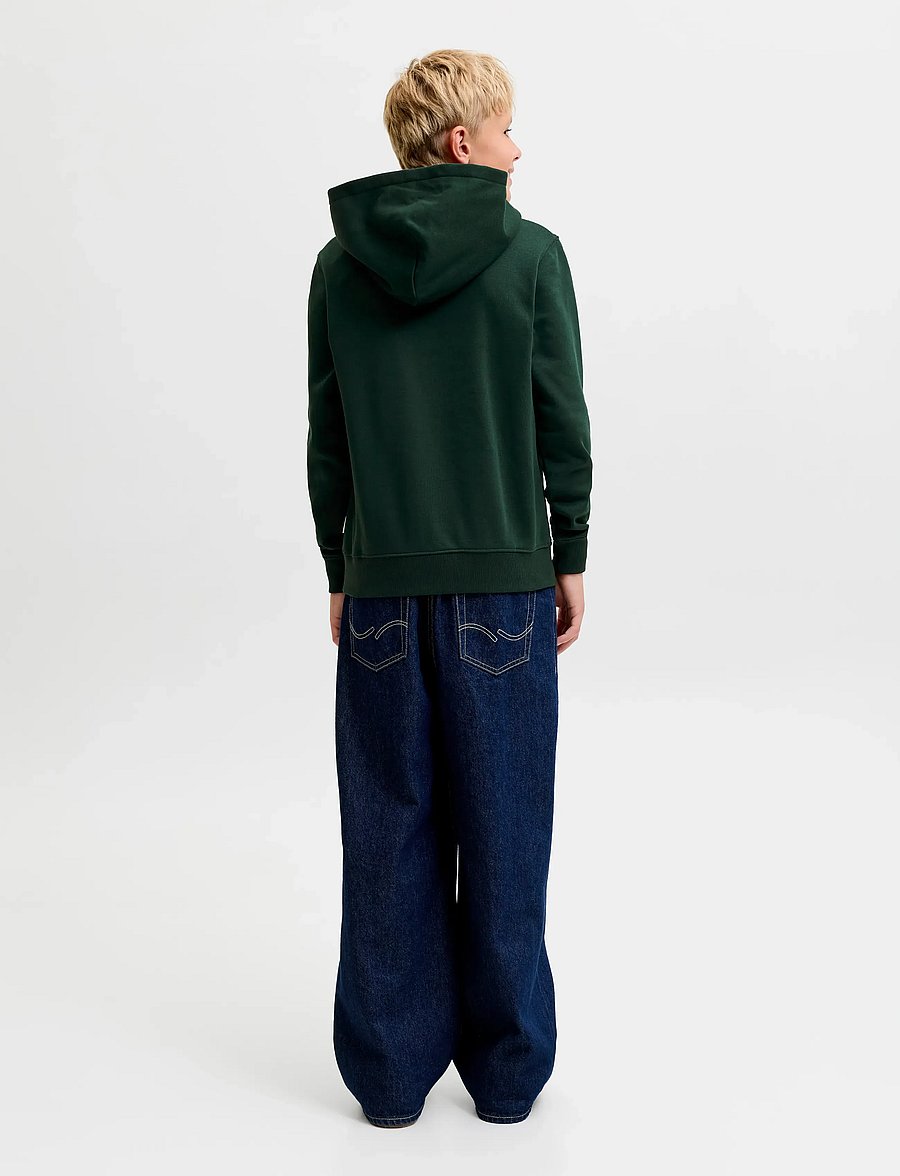 Jack & Jones - JORFREDERIKSBERG MONOGRAM SWEAT HOOD JN - kapuutsiga pusad - pine grove - 3