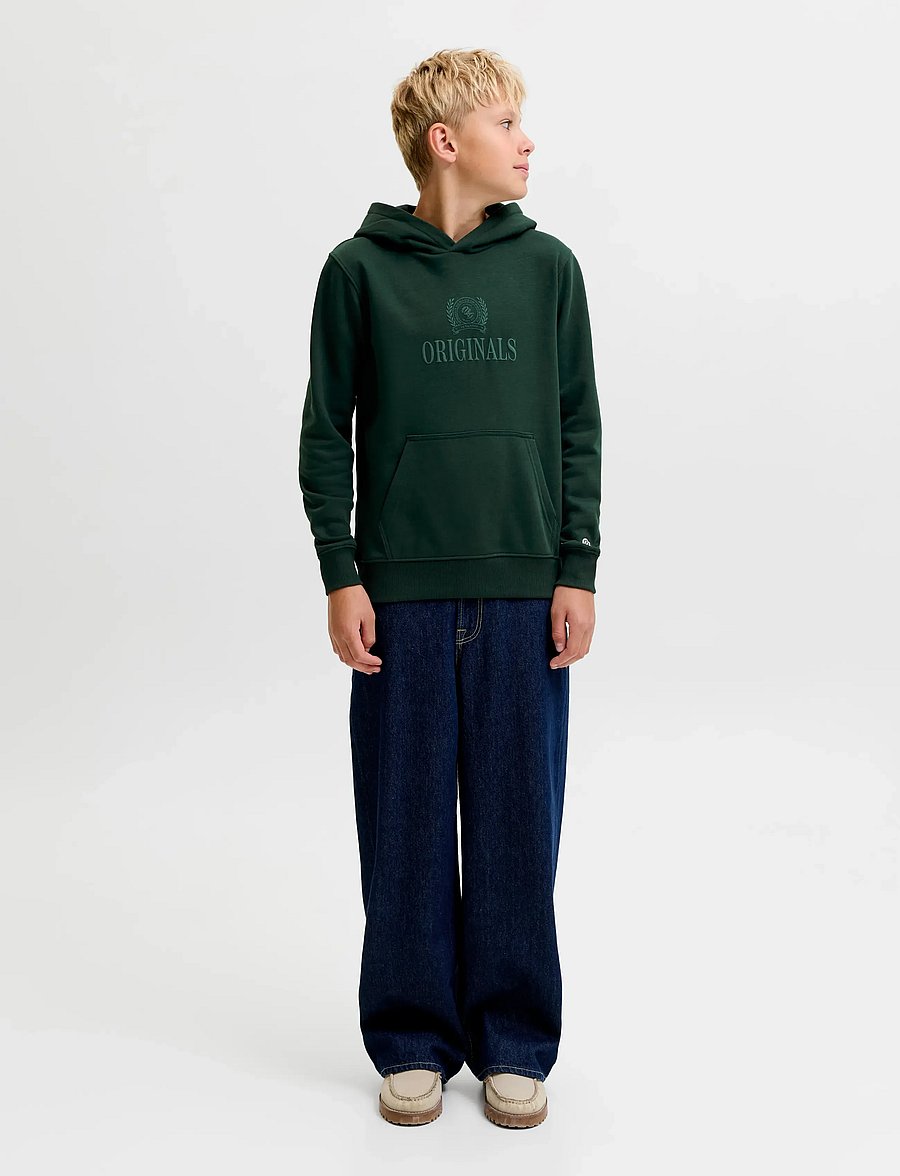 Jack & Jones - JORFREDERIKSBERG MONOGRAM SWEAT HOOD JN - kapuutsiga pusad - pine grove - 4