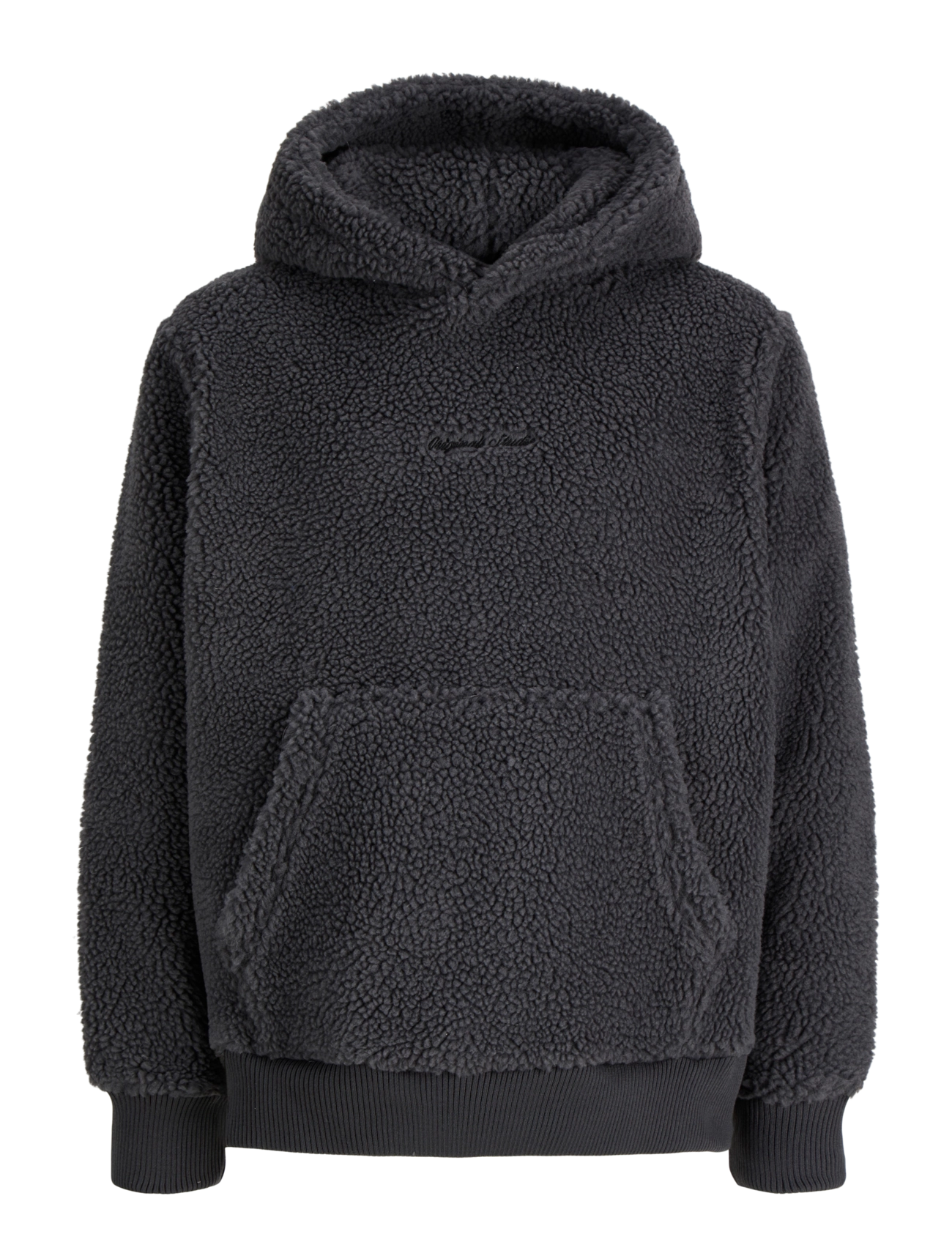 Jack & Jones JORNORREBRO EMB TEDDY SWEAT HOOD JNR - Kapuutsiga pusad - ASPHALT / grey