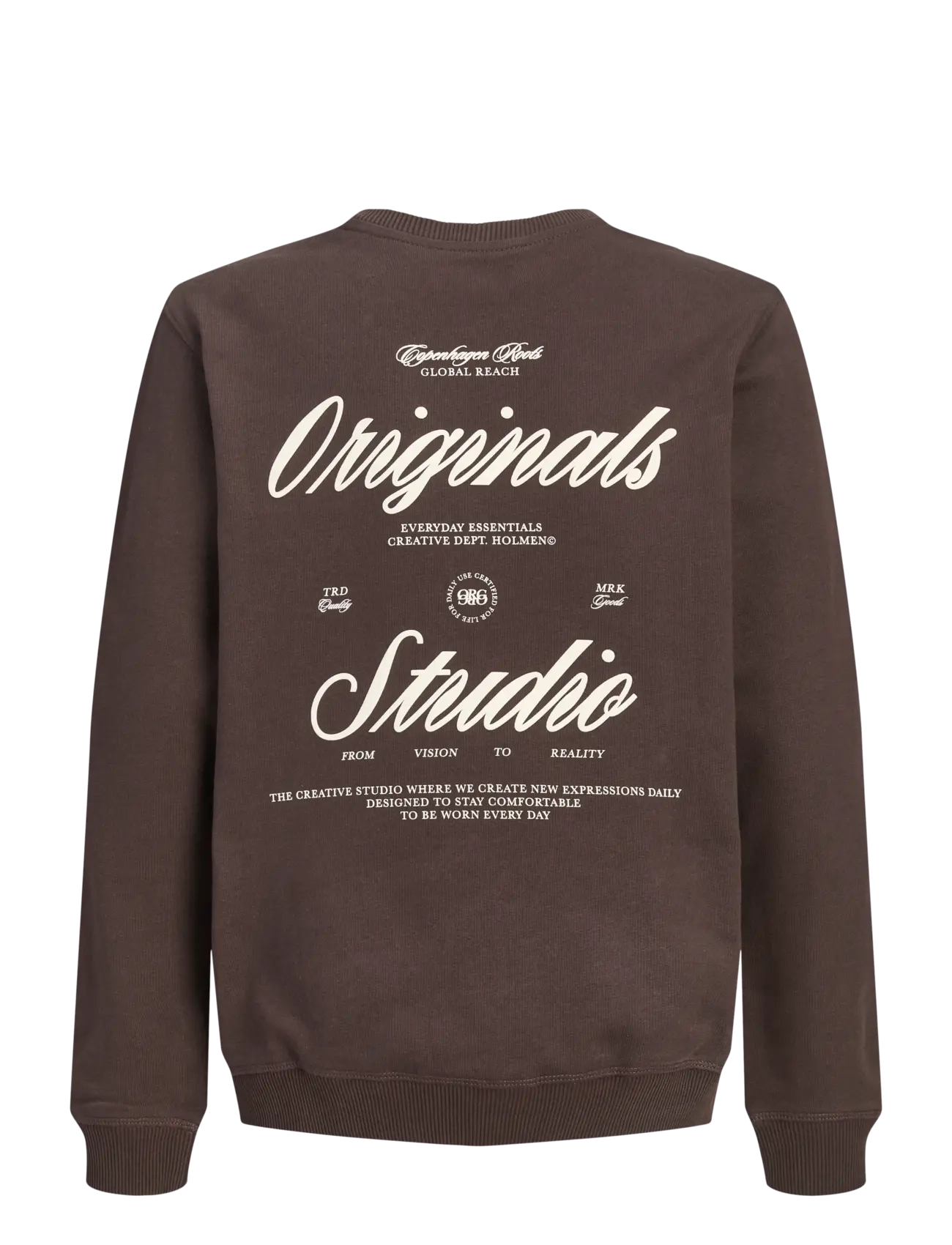 Jack & Jones - JORNORREBRO TYPO BACK SWEAT CN JNR - dressipluusid - java - 2