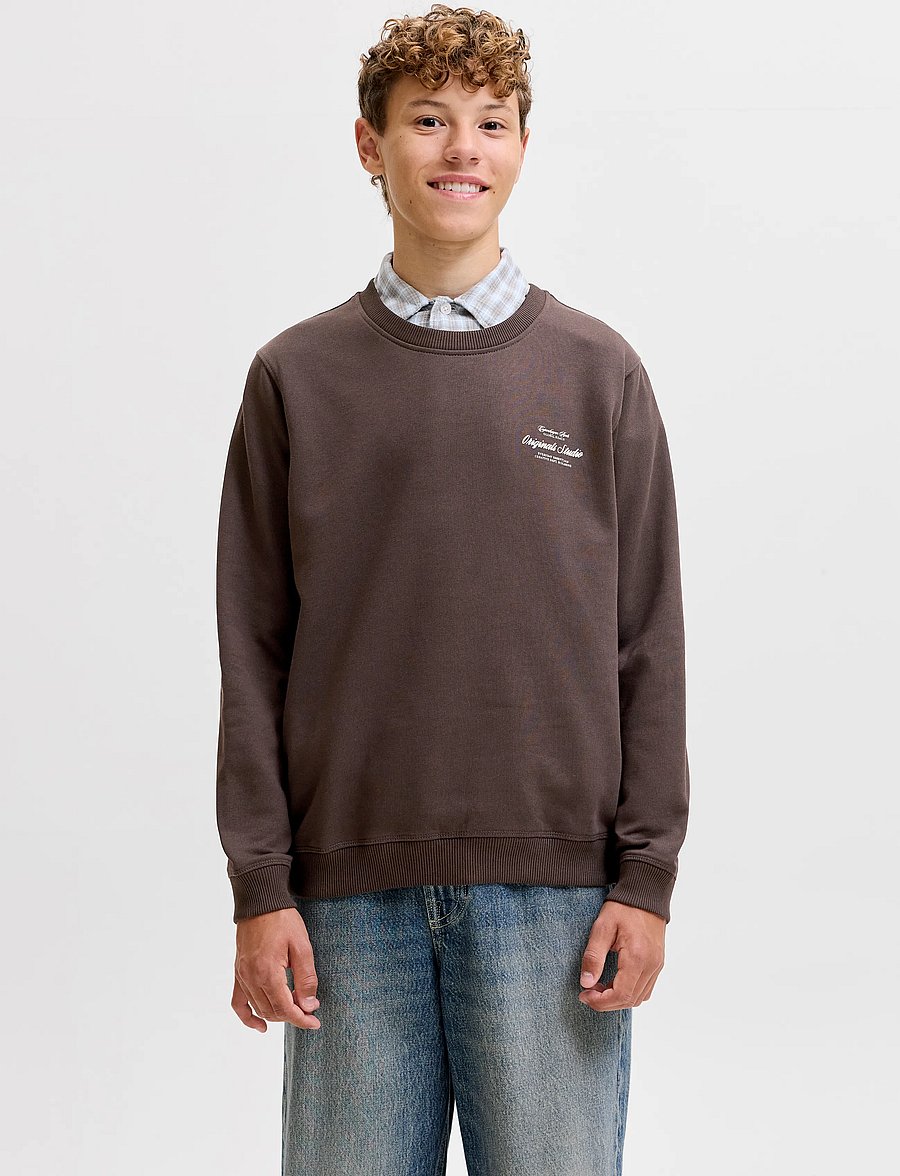 Jack & Jones - JORNORREBRO TYPO BACK SWEAT CN JNR - dressipluusid - java - 0