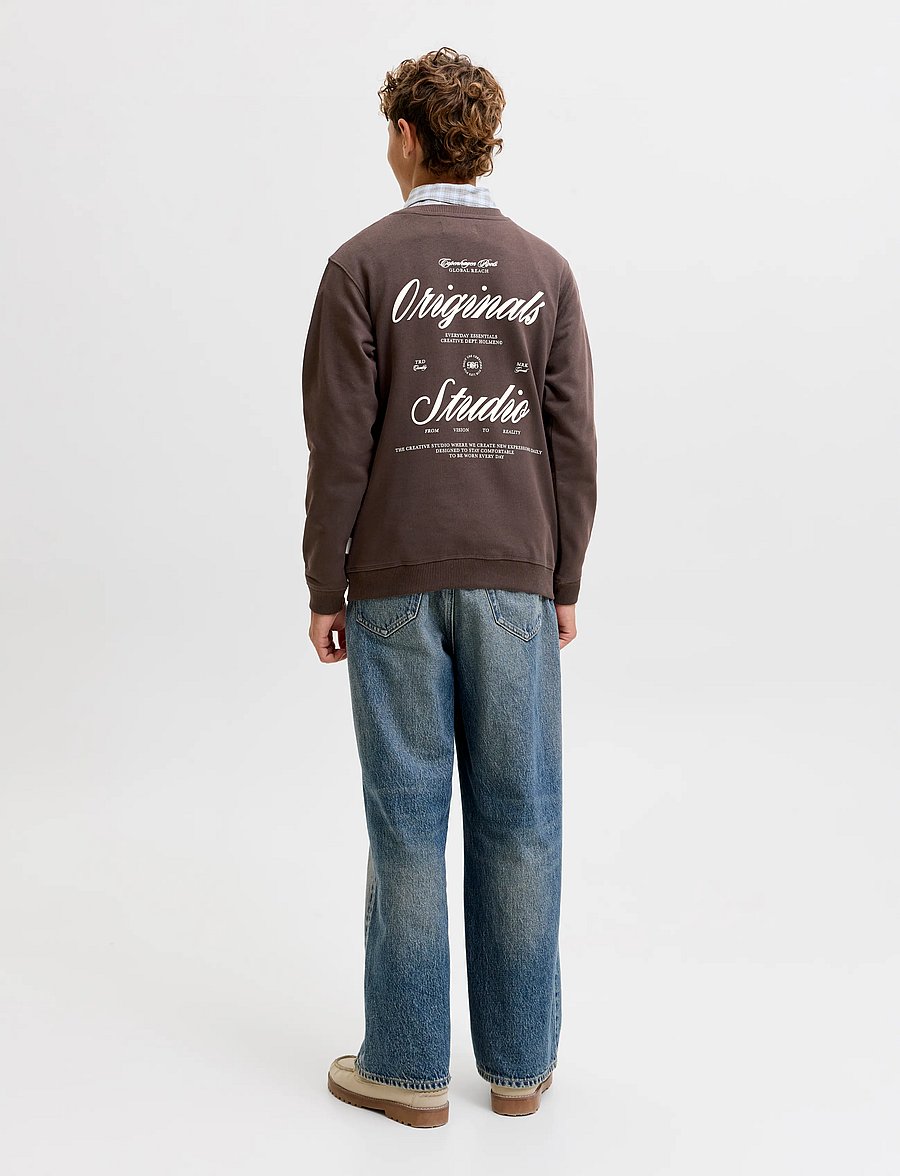 Jack & Jones - JORNORREBRO TYPO BACK SWEAT CN JNR - dressipluusid - java - 3