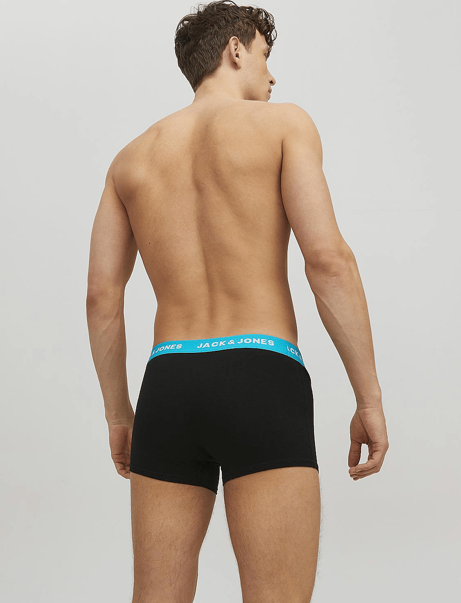 Jack & Jones - JACRICH TRUNKS 2 PACK NOOS - unterhosen im multipack - surf the web - 3