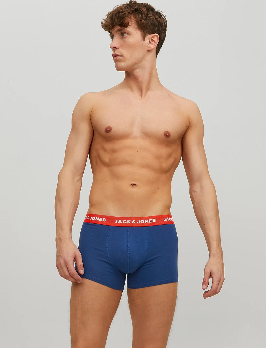 Jack & Jones - JACLEE TRUNKS 5 PACK NOOS - multipack underpants - surf the web - 0