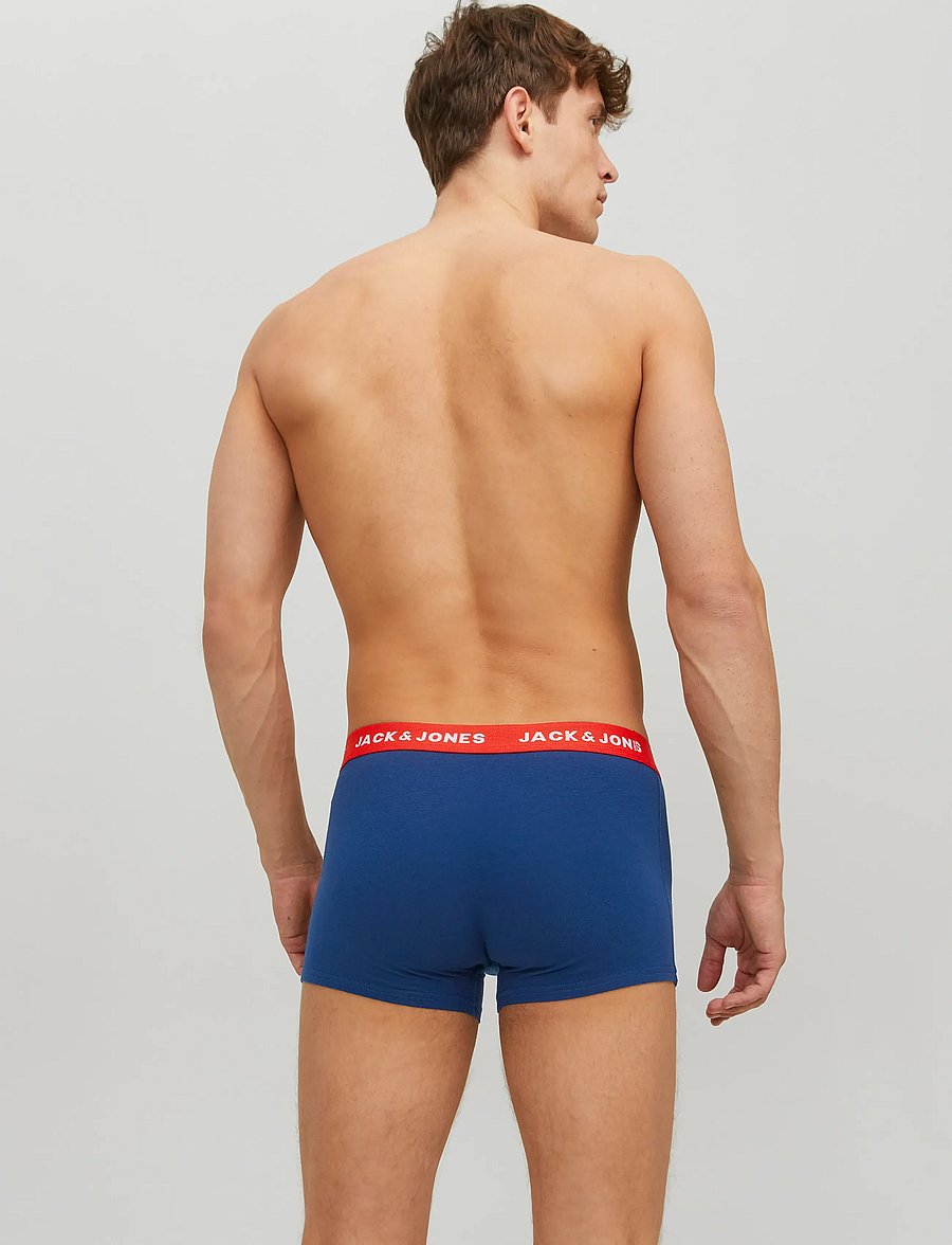 Jack & Jones - JACLEE TRUNKS 5 PACK NOOS - multipack underpants - surf the web - 3