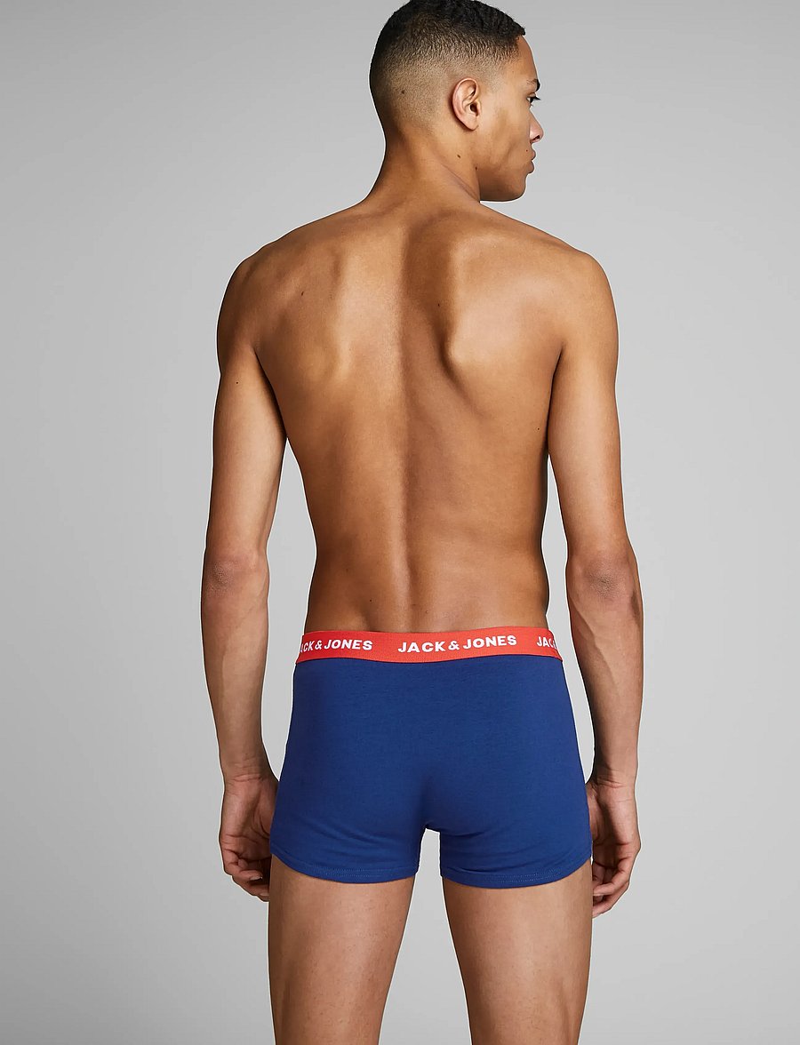 Jack & Jones - JACLEE TRUNKS 5 PACK NOOS - multipack underpants - surf the web - 4