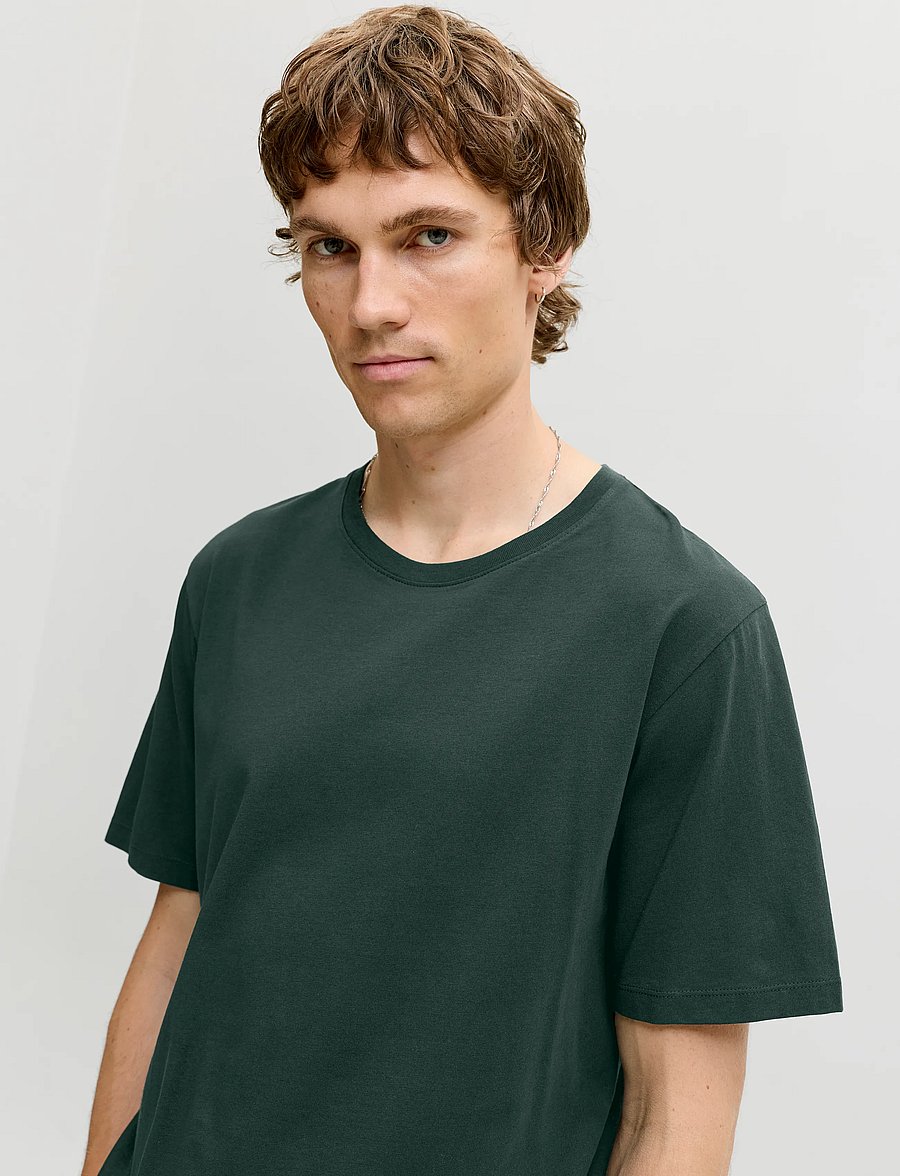 Jack & Jones - JJEORGANIC BASIC TEE SS O-NECK NOOS - kurzärmelige t-shirts - scarab - 4