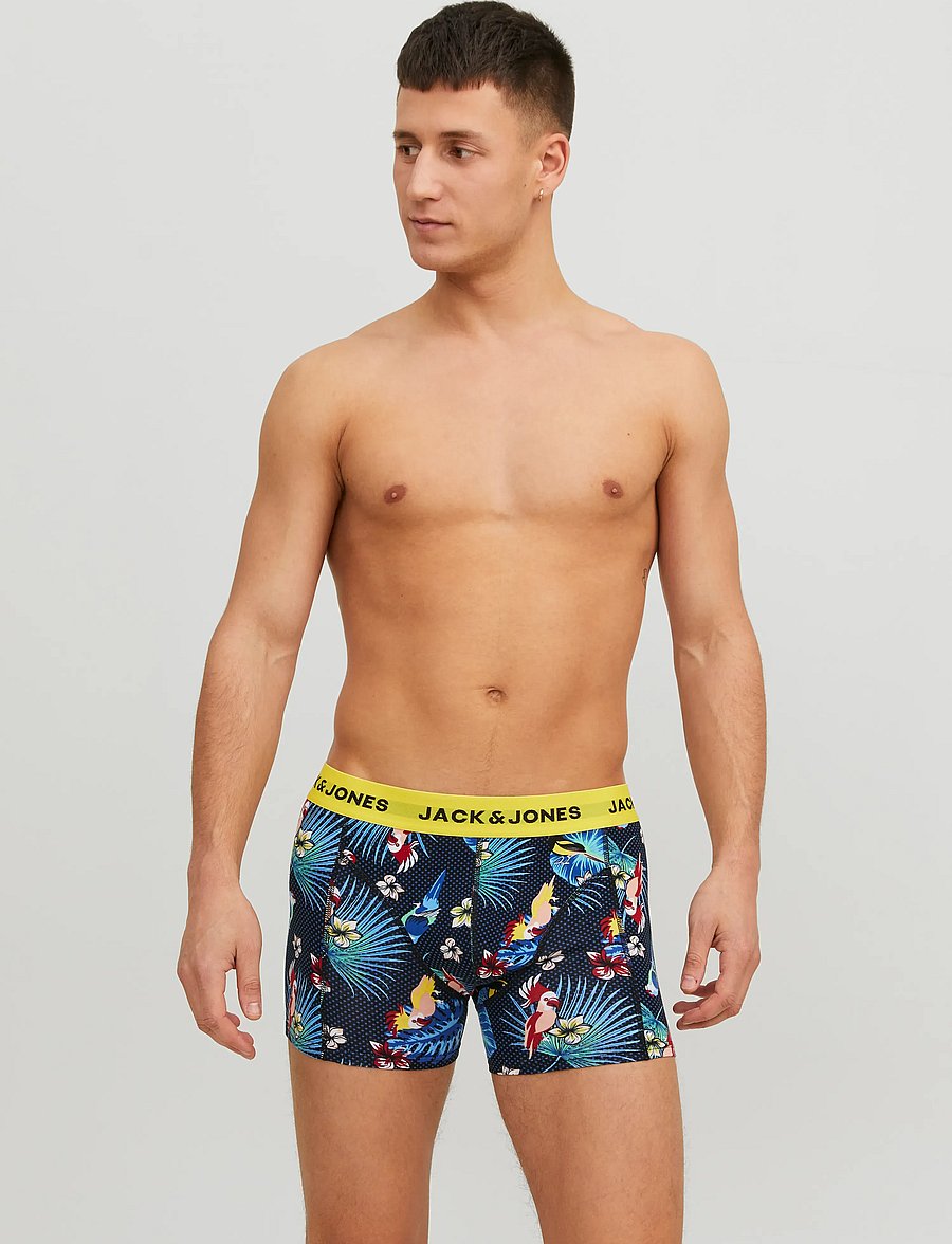 Jack & Jones - JACFLOWER BIRD TRUNKS 3 PACK NOOS - multipakk aluspüksid - surf the web - 0