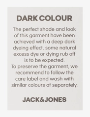 Jack & Jones - JPSTKANE JJPABLO SA BLACK - „chino“ stiliaus kelnės - black - 2