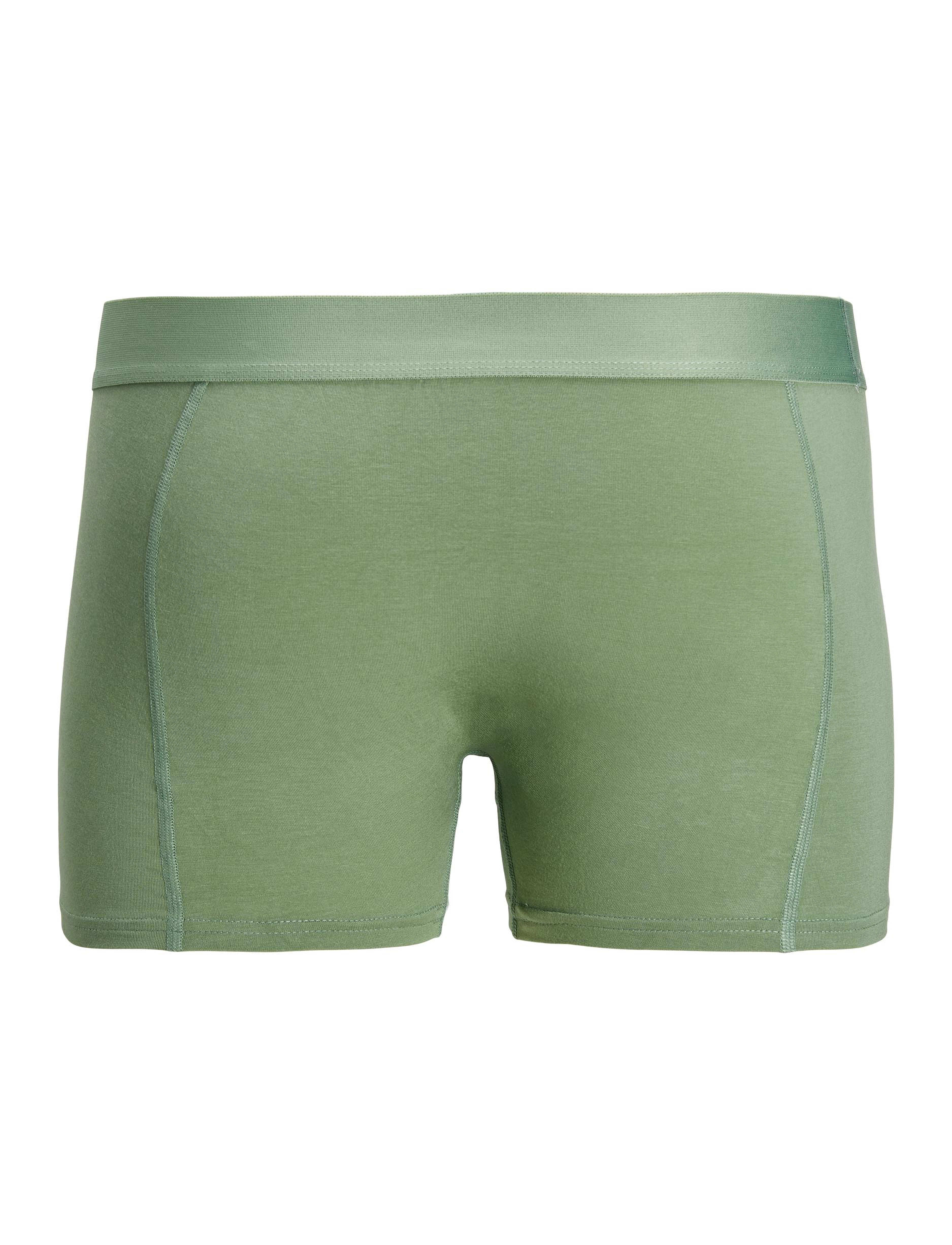 Jack & Jones - JACSUMMER BAMBOO TRUNKS 3 PACK - loden frost - 1