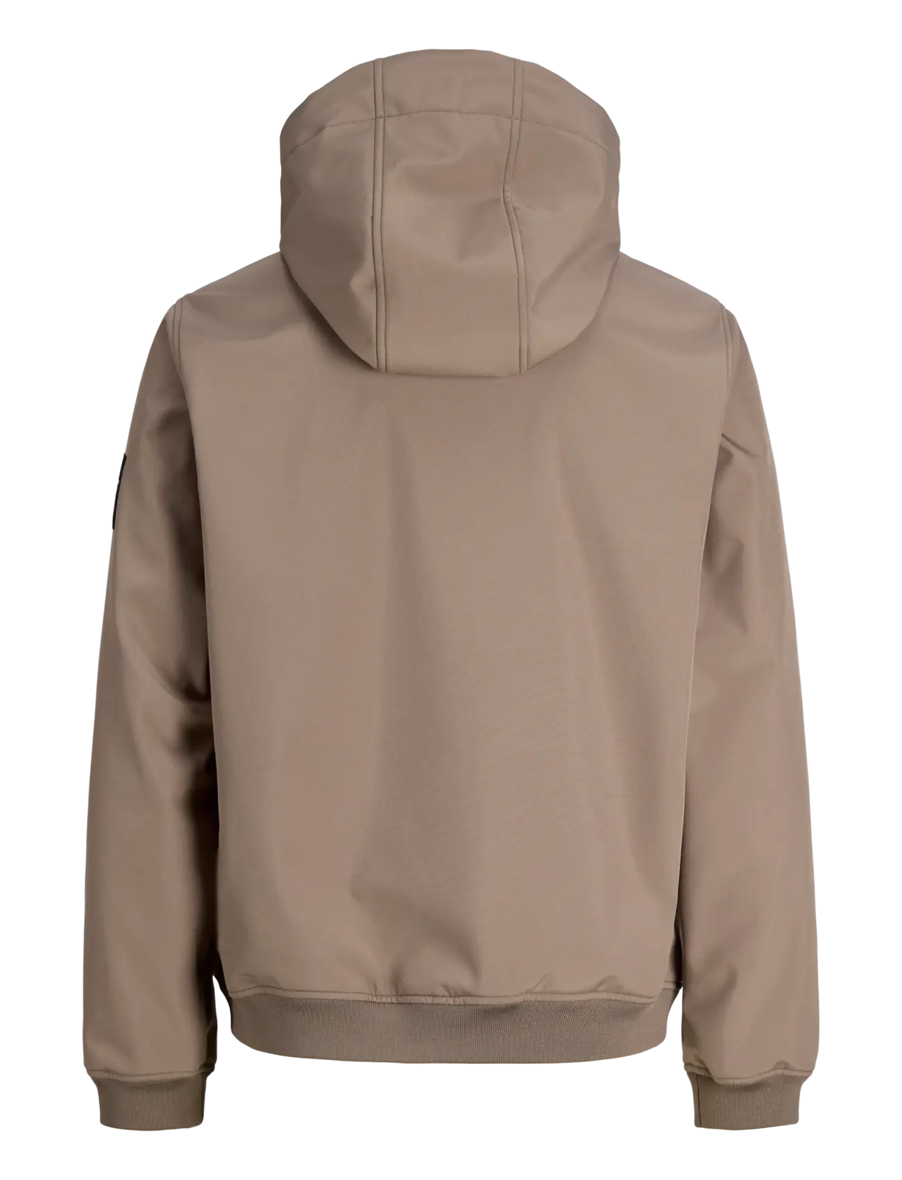 Jack & Jones - JJEBASIC SOFTSHELL HOOD NOOS - frühlingsjacken - falcon - 2