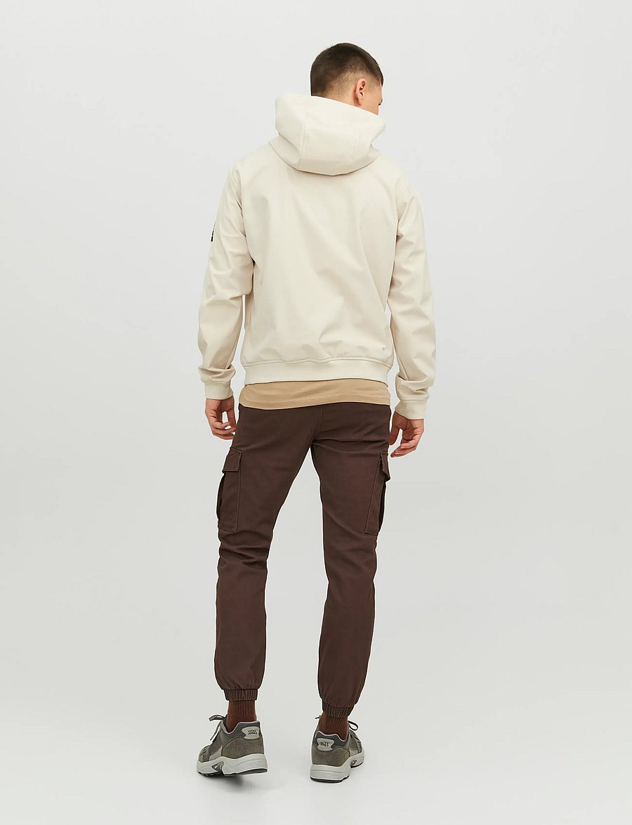 Jack & Jones - JJEBASIC SOFTSHELL HOOD NOOS - vestes de printemps - moonbeam - 3