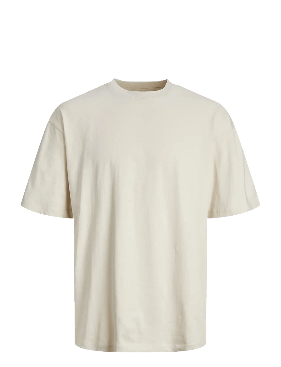 Jack & Jones - JJEBRADLEY TEE SS O-NECK NOOS - kurzärmelige t-shirts - moonbeam - 1