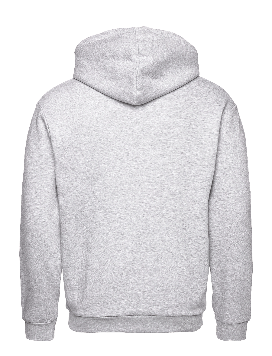 Jack & Jones - JJEBRADLEY SWEAT HOOD NOOS - hættetrøjer - light grey melange - 2