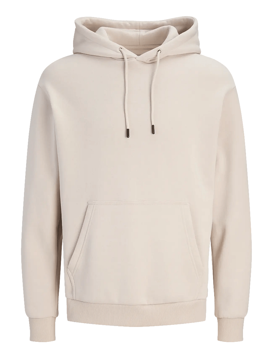 Jack & Jones - JORBRADLEY SWEAT HOOD NOOS - hoodies - moonbeam - 1
