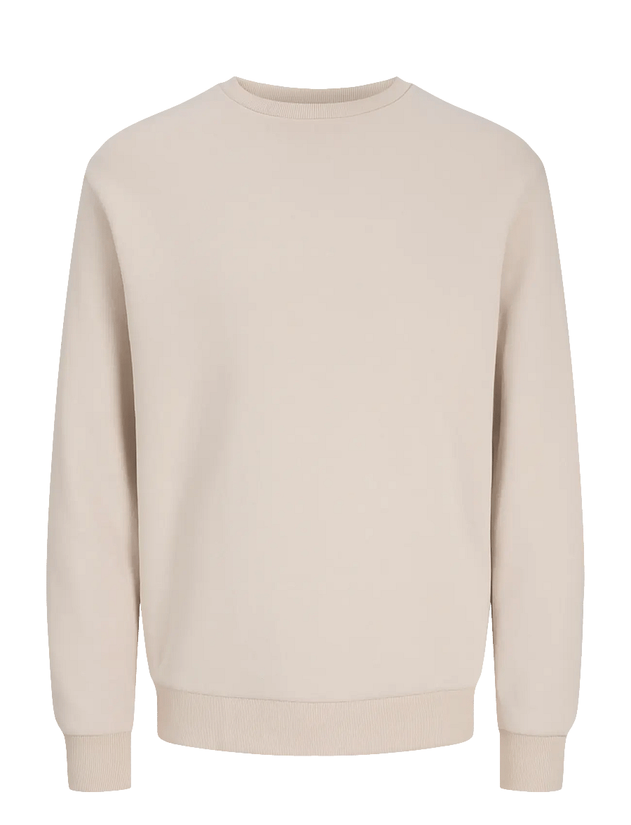 Jack & Jones - JJEBRADLEY SWEAT CREW NOOS - sweatshirts - moonbeam - 1