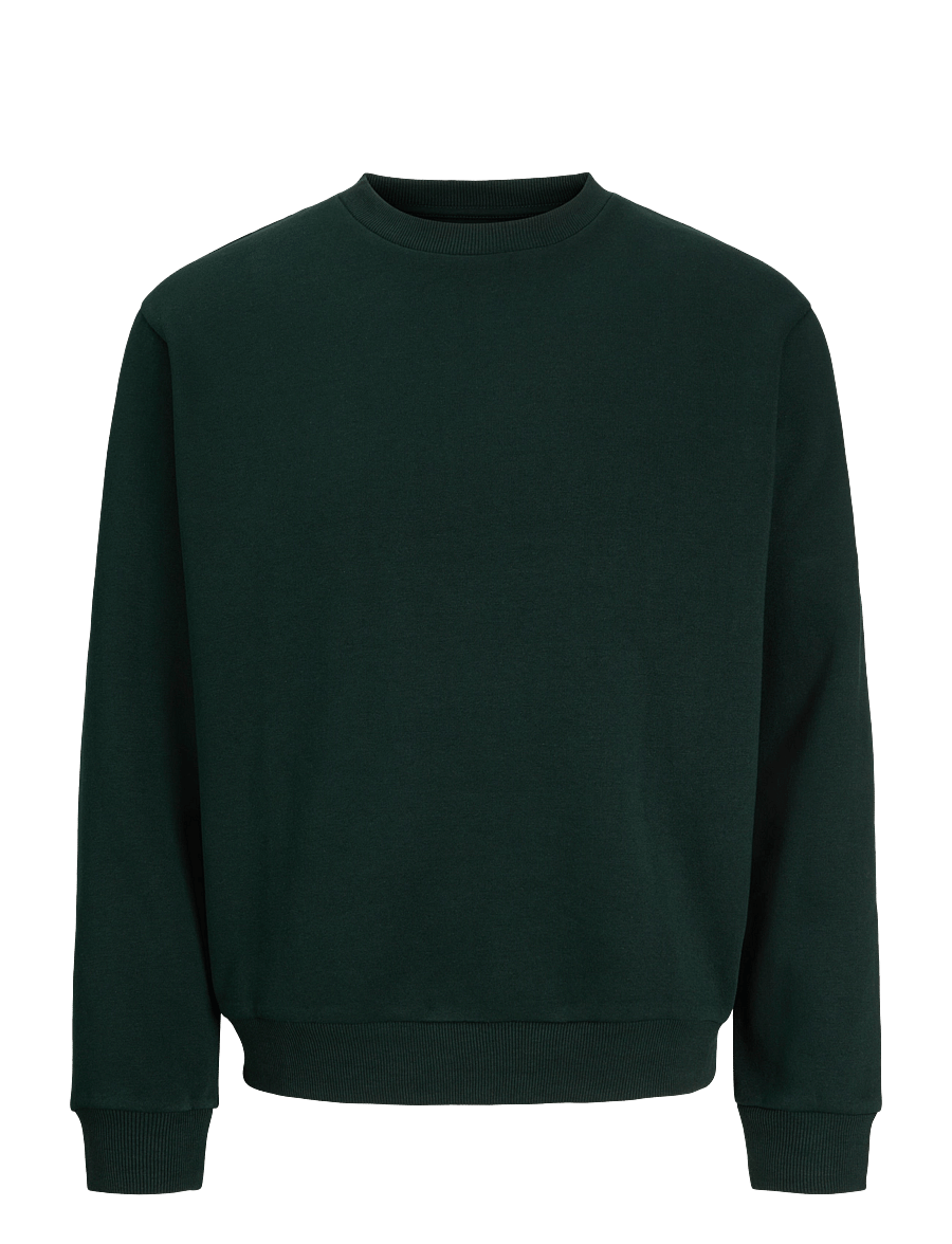 Jack & Jones - JJEBRADLEY SWEAT CREW NOOS - sweatshirts - scarab - 1