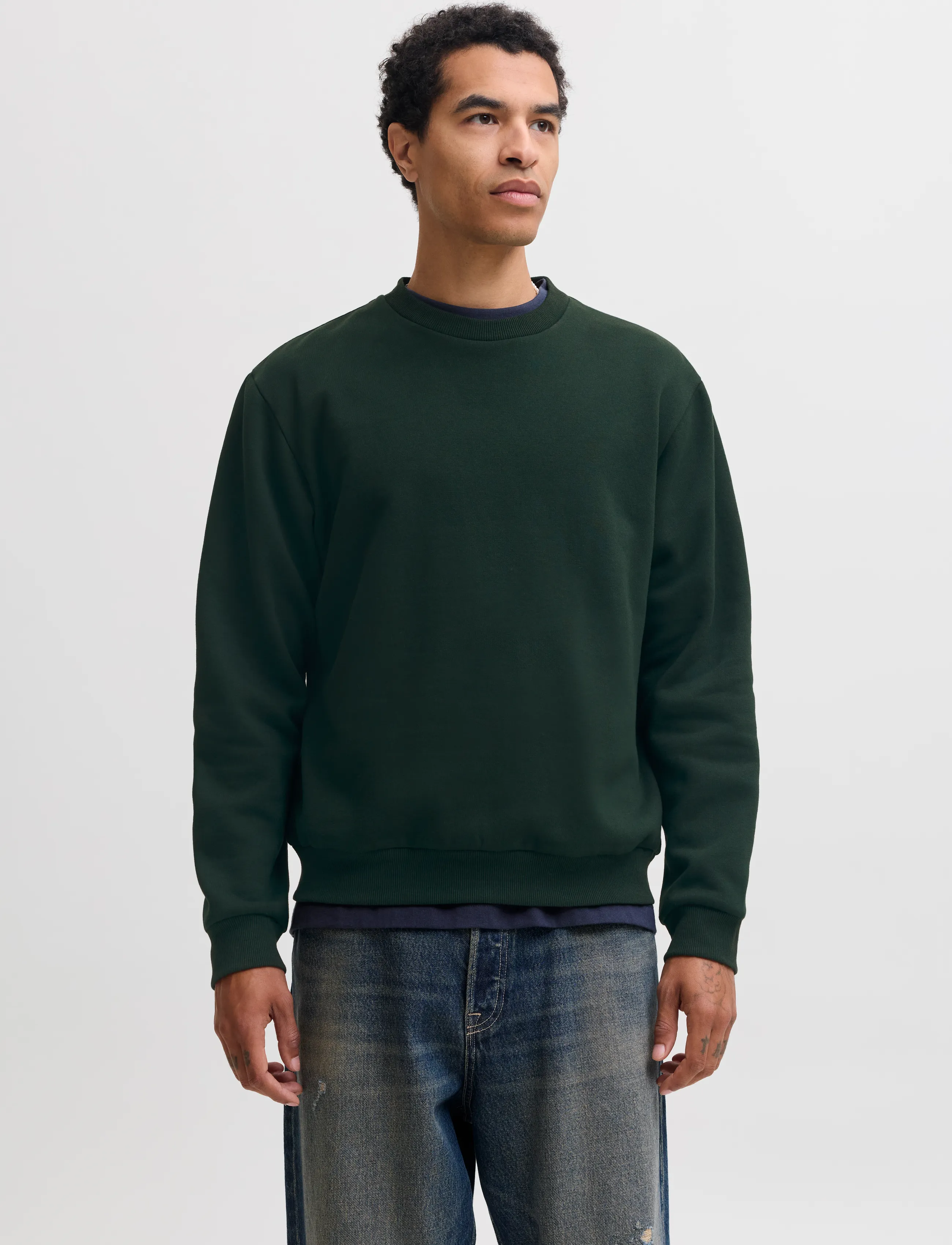 Jack & Jones JJEBRADLEY SWEAT CREW NOOS - Kleidung - SCARAB / green