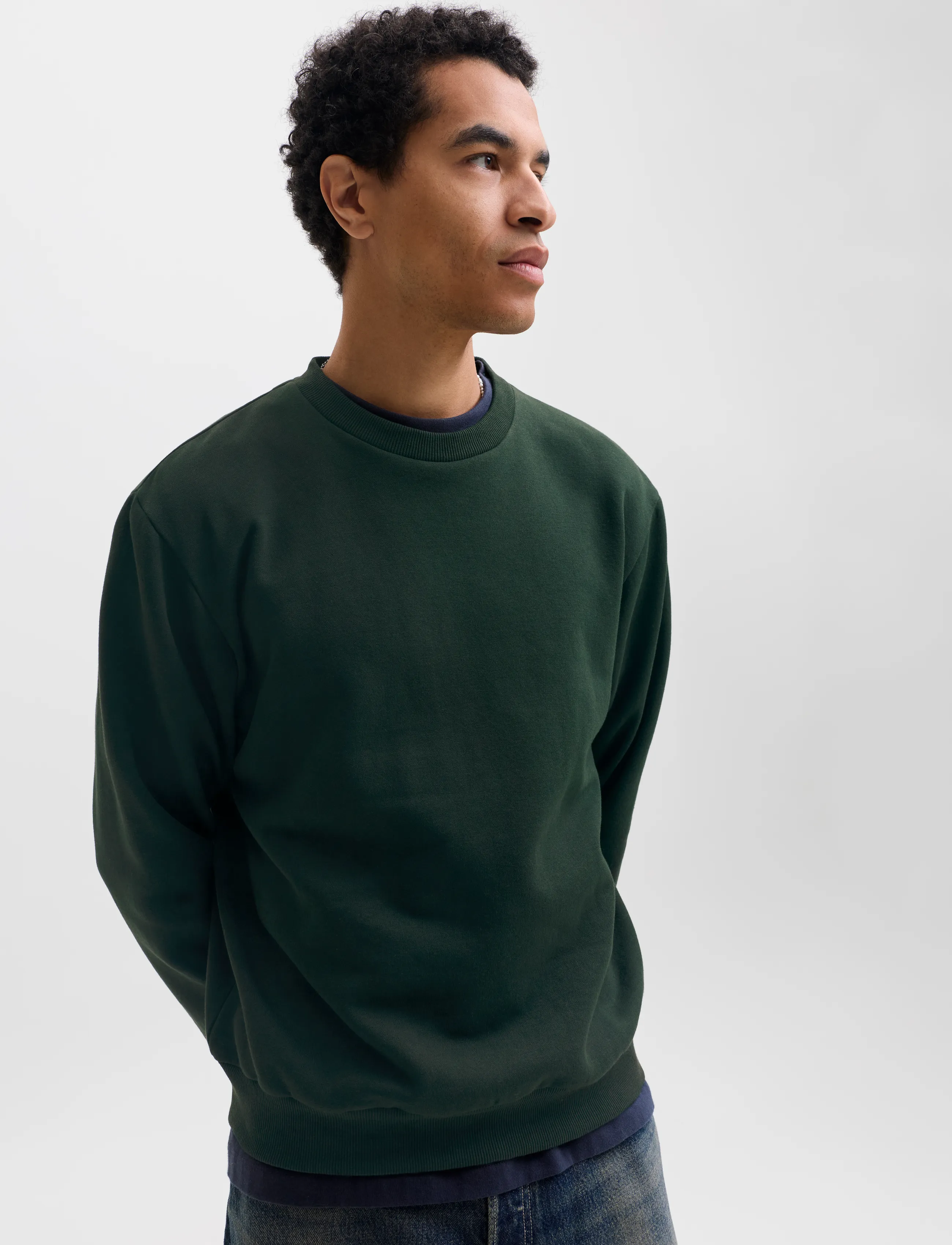 Jack & Jones - JJEBRADLEY SWEAT CREW NOOS - sweatshirts - scarab - 5