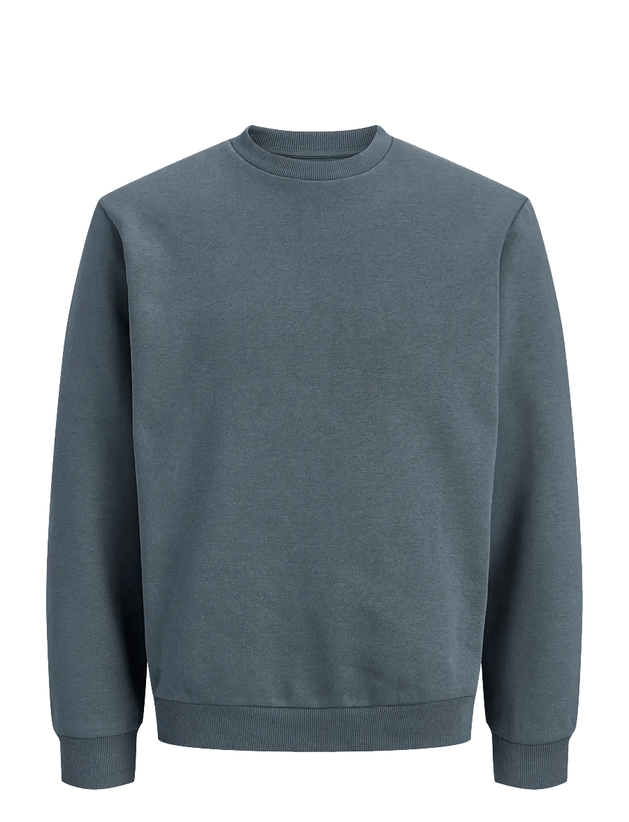 Jack & Jones - JJEBRADLEY SWEAT CREW NOOS - sweatshirts - turbulence - 0