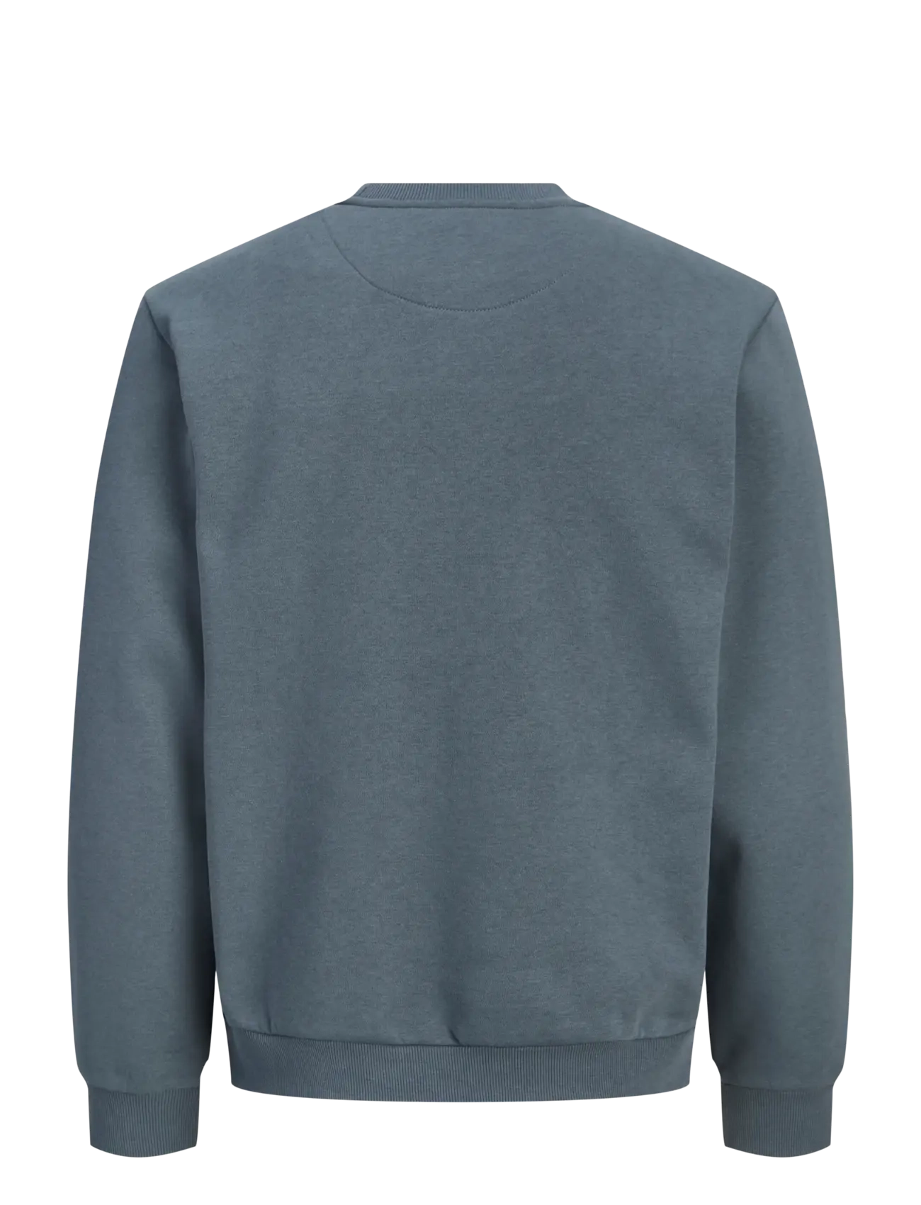 Jack & Jones - JJEBRADLEY SWEAT CREW NOOS - sweatshirts - turbulence - 1