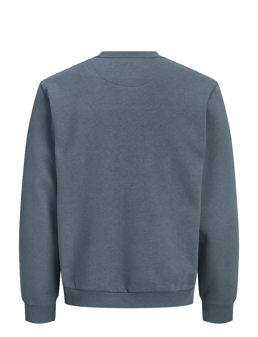 Jack & Jones - JJEBRADLEY SWEAT CREW NOOS - sweatshirts - turbulence - 1