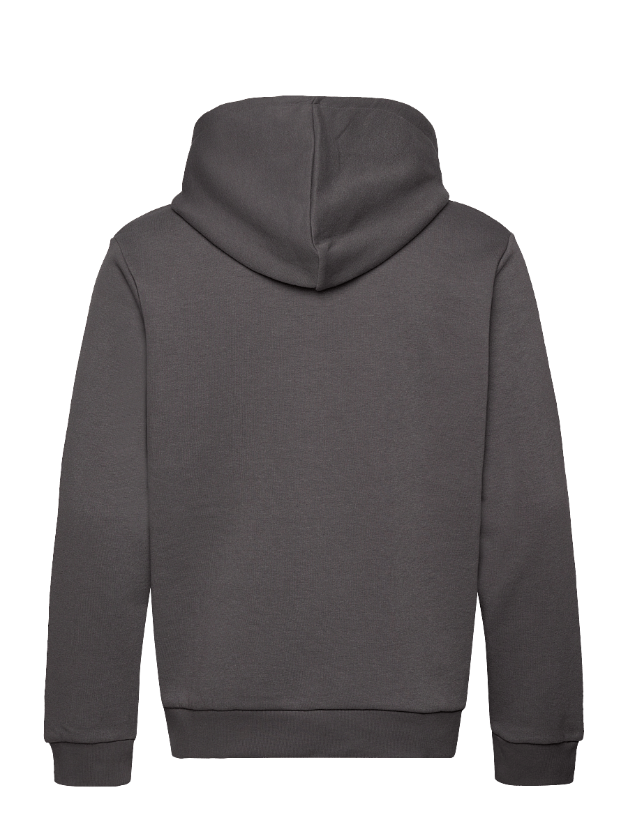 Jack & Jones - JJEBRADLEY SWEAT ZIP HOOD NOOS - hættetrøjer - castlerock - 2
