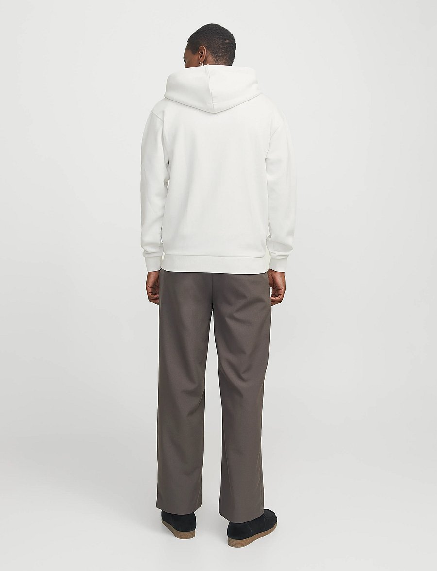 Jack & Jones - JJEBRADLEY SWEAT ZIP HOOD NOOS - hættetrøjer - cloud dancer - 2
