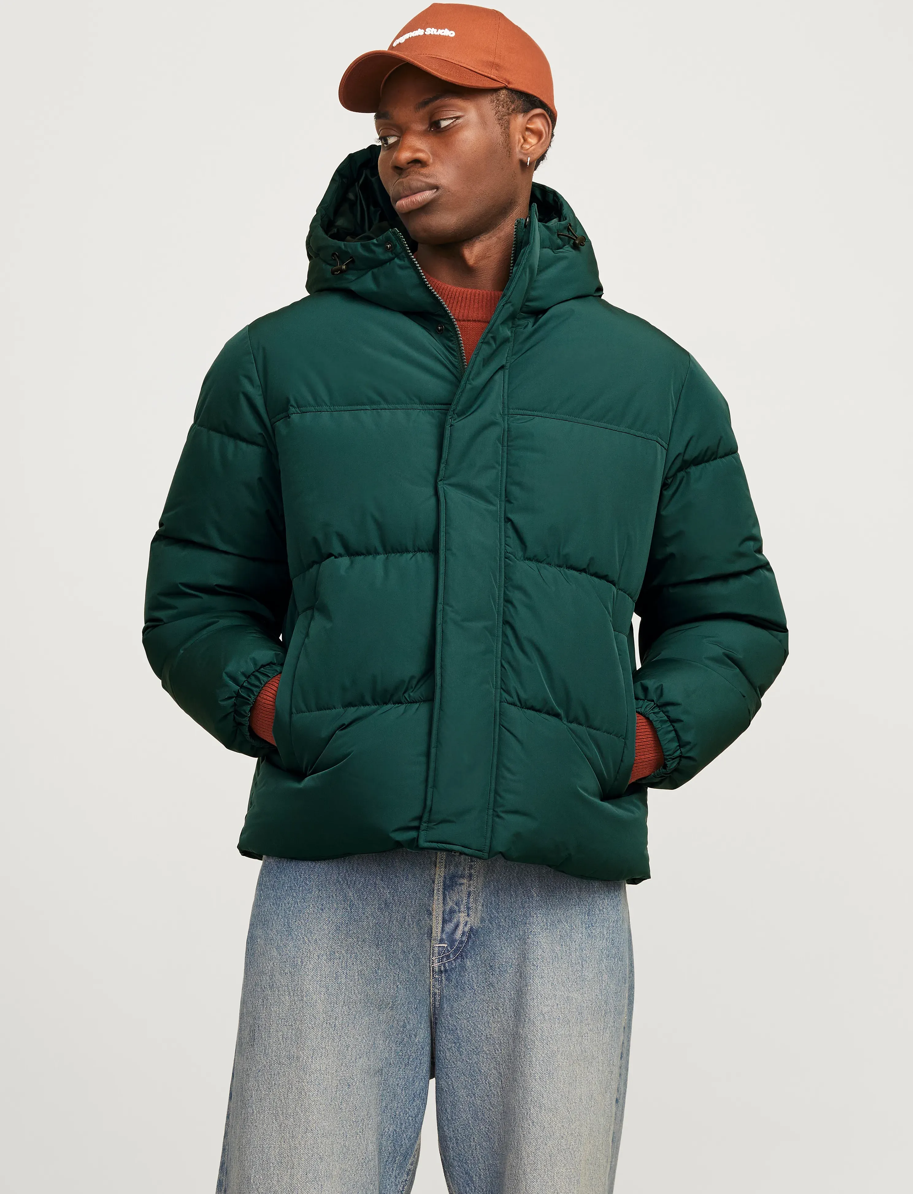 Jack & Jones JJEBRADLEY PUFFER HOOD SN - Ytterkläder - MAGICAL FOREST / blue