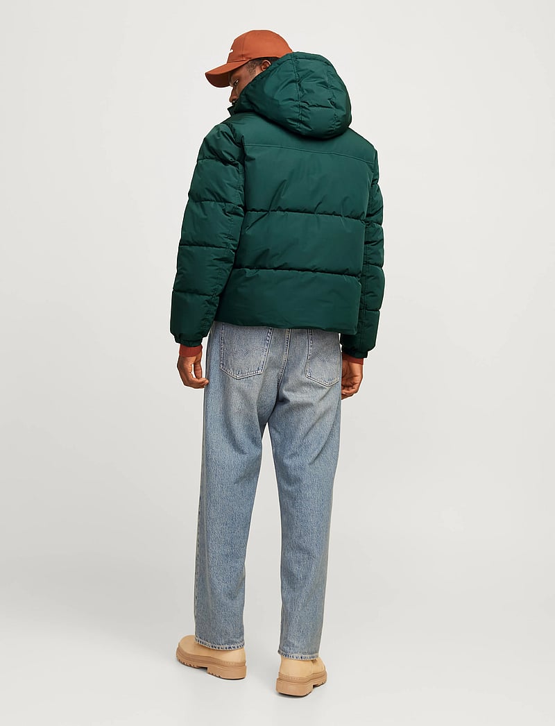 Jack & Jones - JJEBRADLEY PUFFER HOOD SN - talvejoped - magical forest - 3