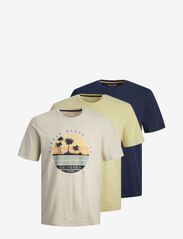 Jack & Jones - JJSUMMER VIBE TEE SS CREW NECK 3PK MP - kortärmade t-shirts - french vanilla - 1