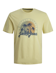 Jack & Jones - JJSUMMER VIBE TEE SS CREW NECK 3PK MP - kortärmade t-shirts - french vanilla - 0