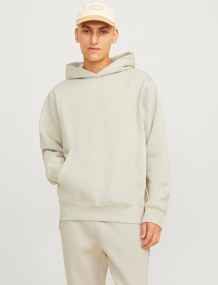 Jack & Jones - JJEURBAN EDGE SWEAT HOOD NOOS - kapuzenpullover - moonbeam - 0