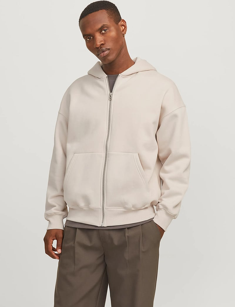 Jack & Jones - JJEURBAN EDGE SWEAT ZIP HOOD NOOS - kapuzenpullover - moonbeam - 0
