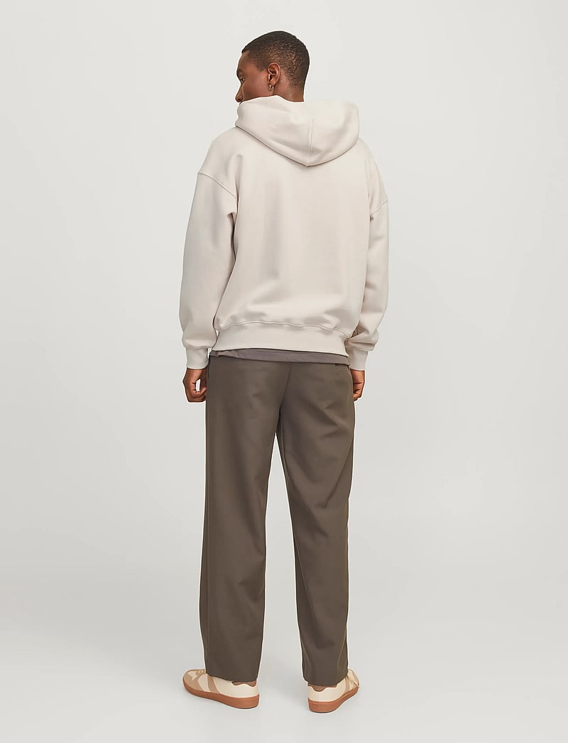 Jack & Jones - JJEURBAN EDGE SWEAT ZIP HOOD NOOS - kapuzenpullover - moonbeam - 2