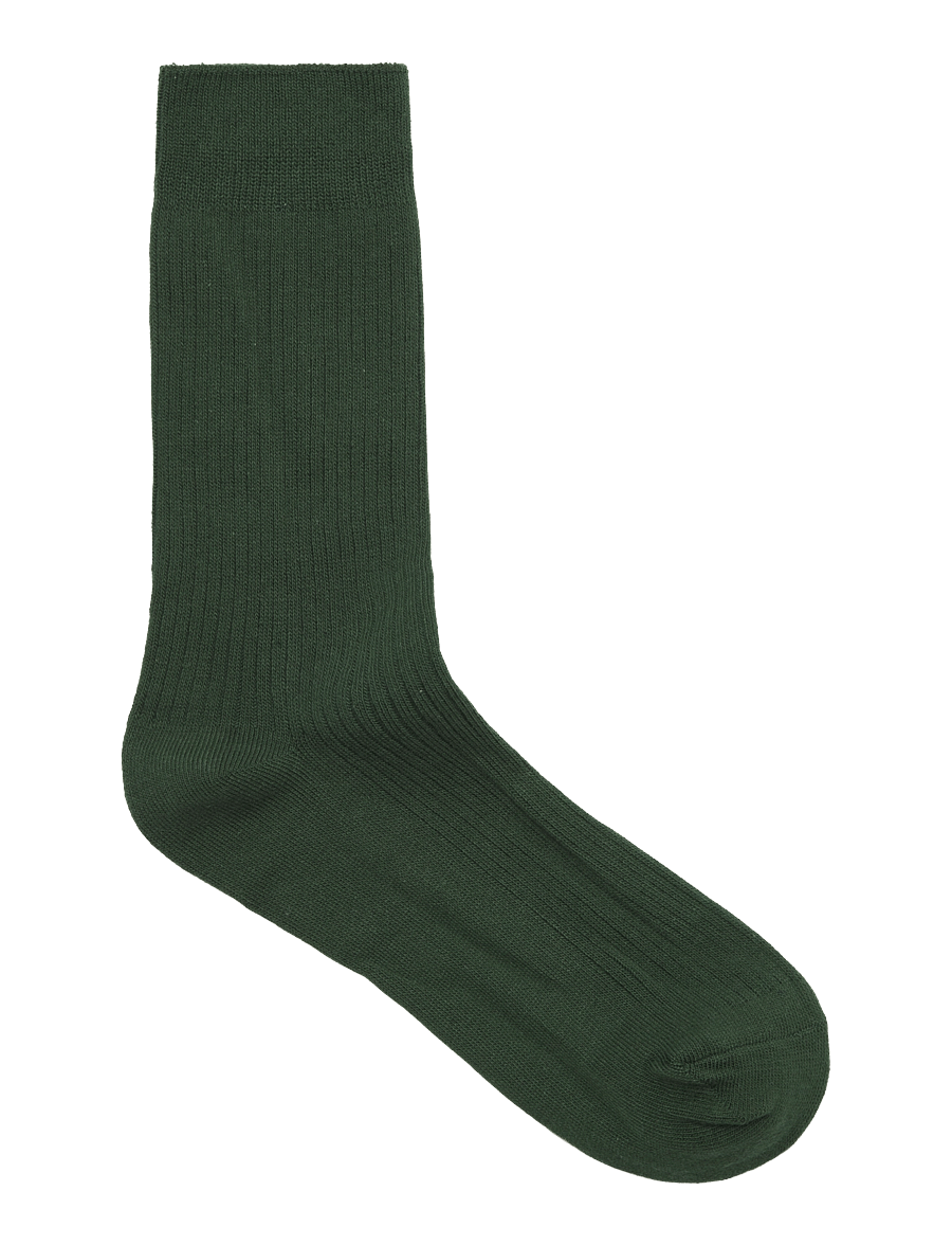 Jack & Jones - JAC PREMIUM SOCKS 2 PACK NOOS - tennissocken - pineneedle - 2