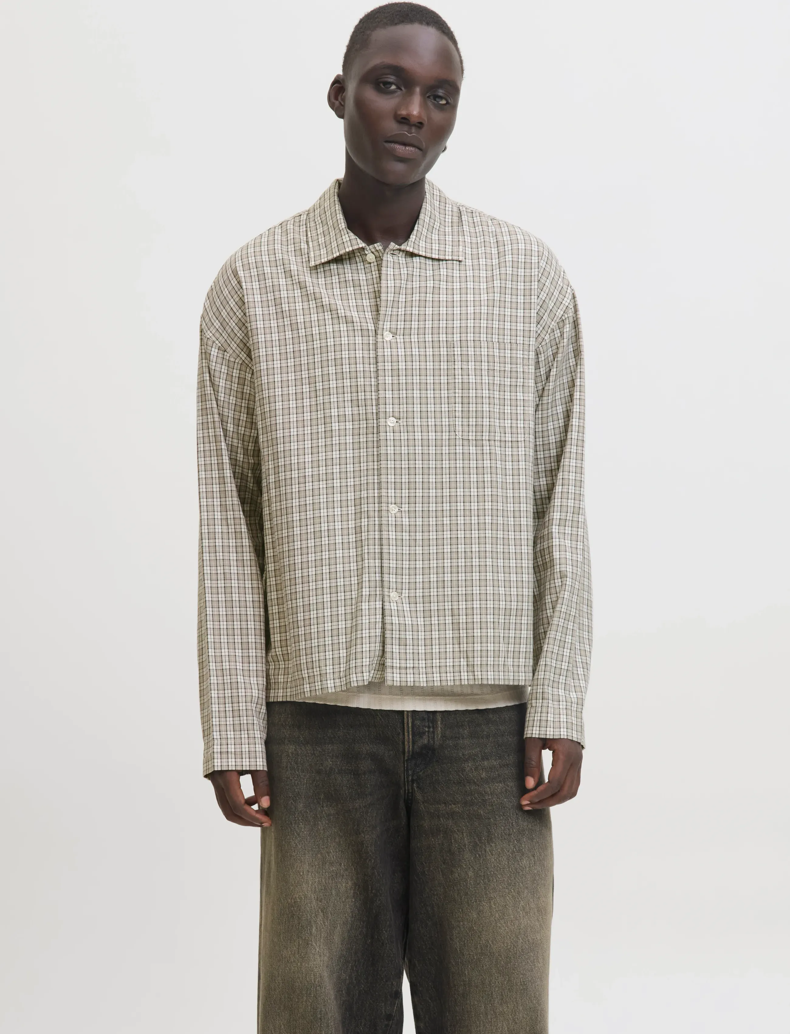 Jack & Jones JORAUSTIN CLEAN CHECK SHIRT LS SN - Vabaajasärgid - MOONBEAM / multi